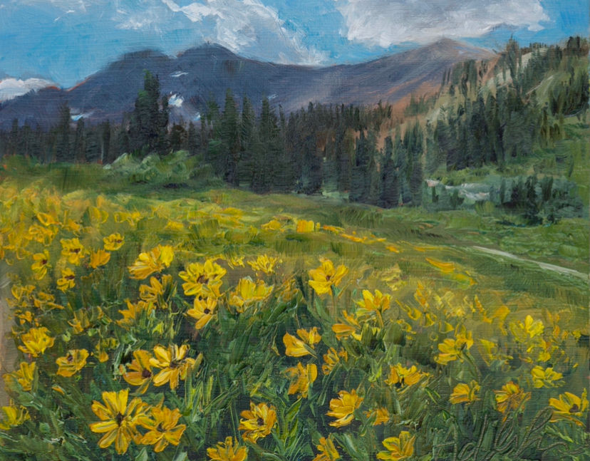 Albion Basin Wildflowers Print