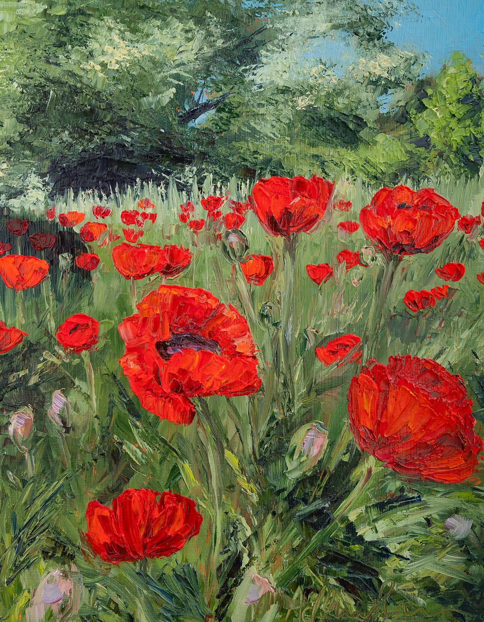 Poppy Field Print