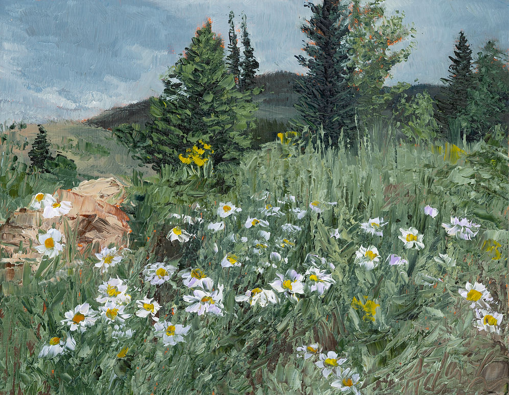 Summer Wildflowers Print