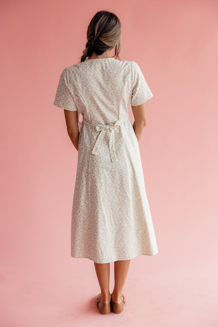 Kalista Button Down Dress
