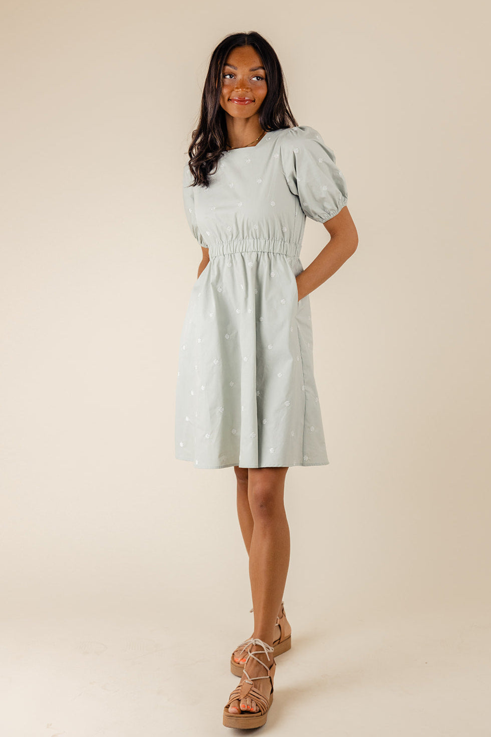 Picture Perfect Embroidered Dress