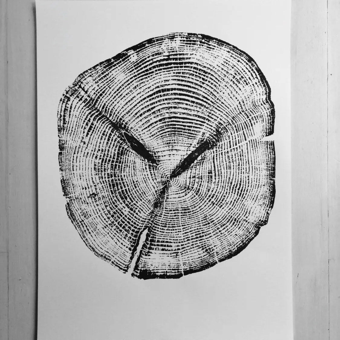 Alaska Cedar Art Tree Ring Print