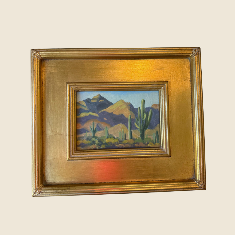 Sonoran Sunset - Original Art
