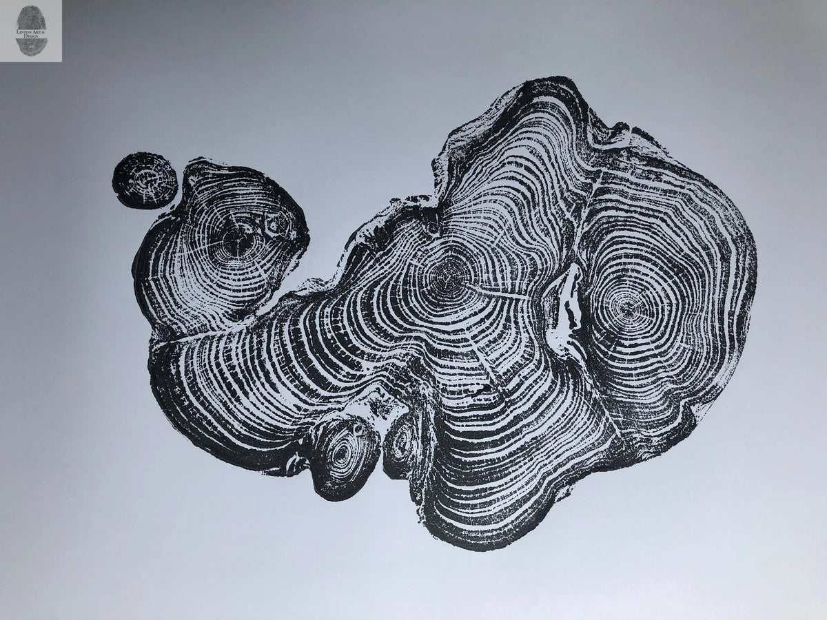 Cypress from Ireland, Tree ring art print, Tree stump print, first anniversary gift, 18x24 inch woodcut, fifth anniversary gift, Linton Art