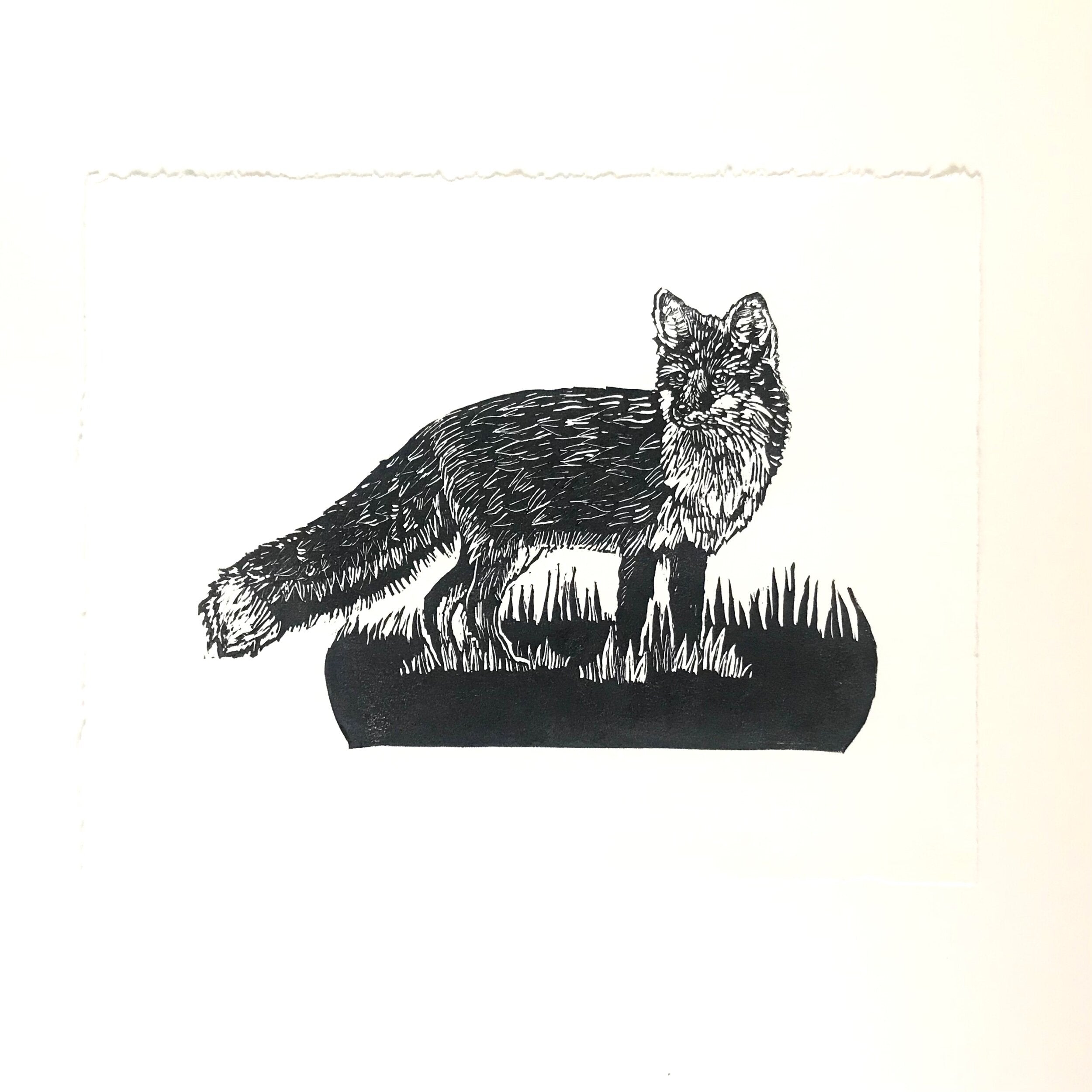 Woodland Fox Print