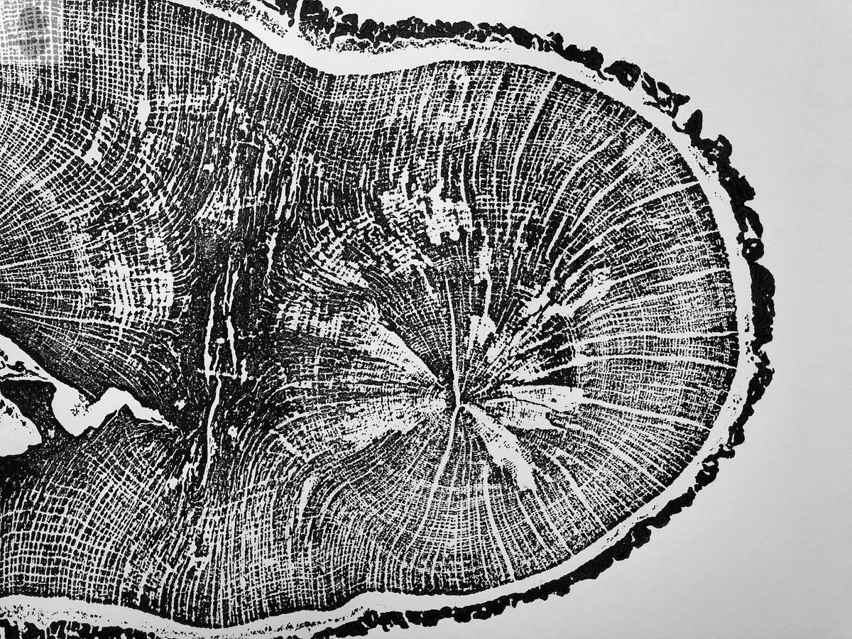 English Oak, Tree ring art print, Oak from Liverpool UK, Anniversary art, Tree ring art, Tree rings, Original Woodcut print by Erik Linton