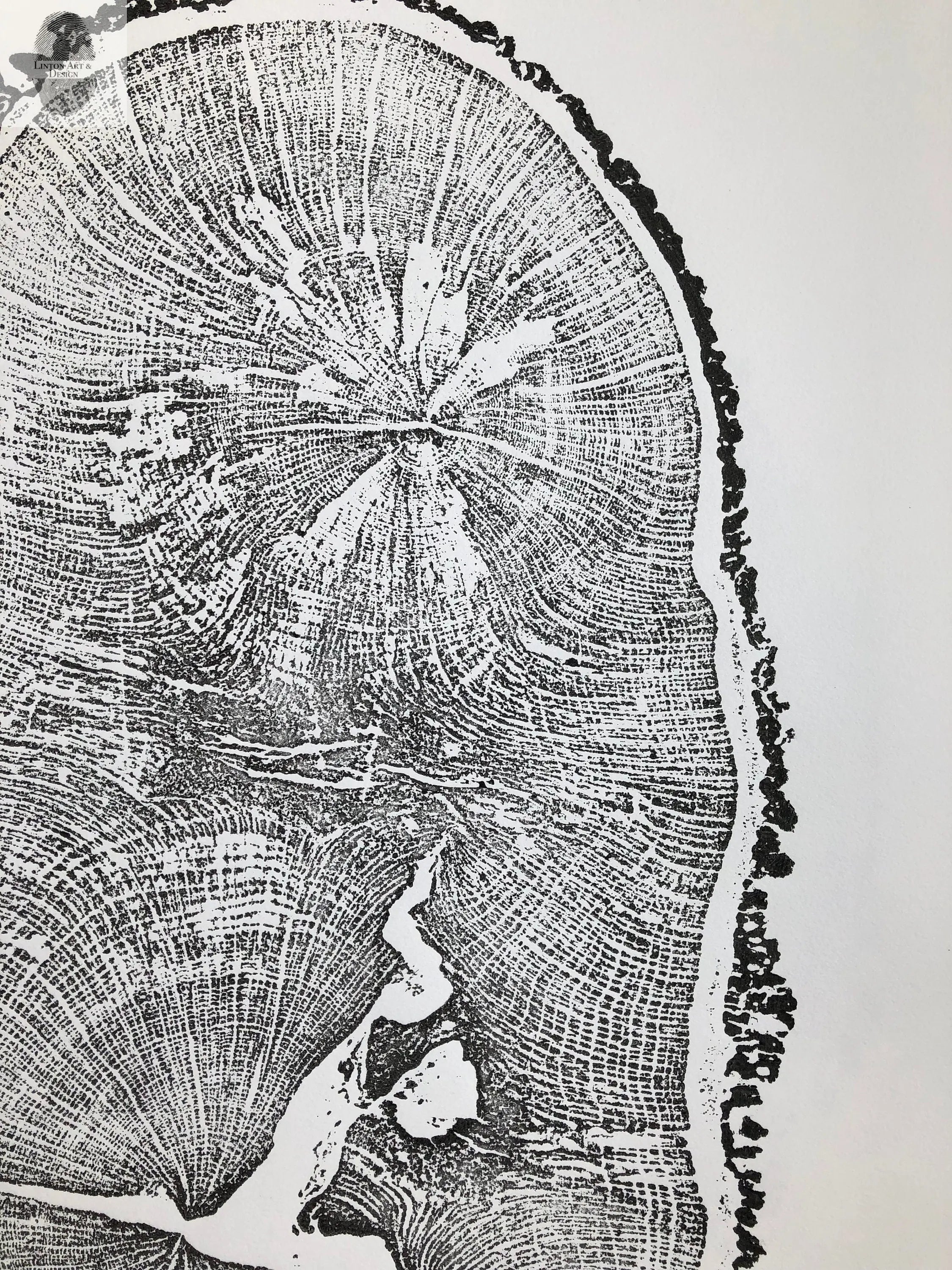 English Oak, Tree ring art print, Oak from Liverpool UK, Anniversary art, Tree ring art, Tree rings, Original Woodcut print by Erik Linton