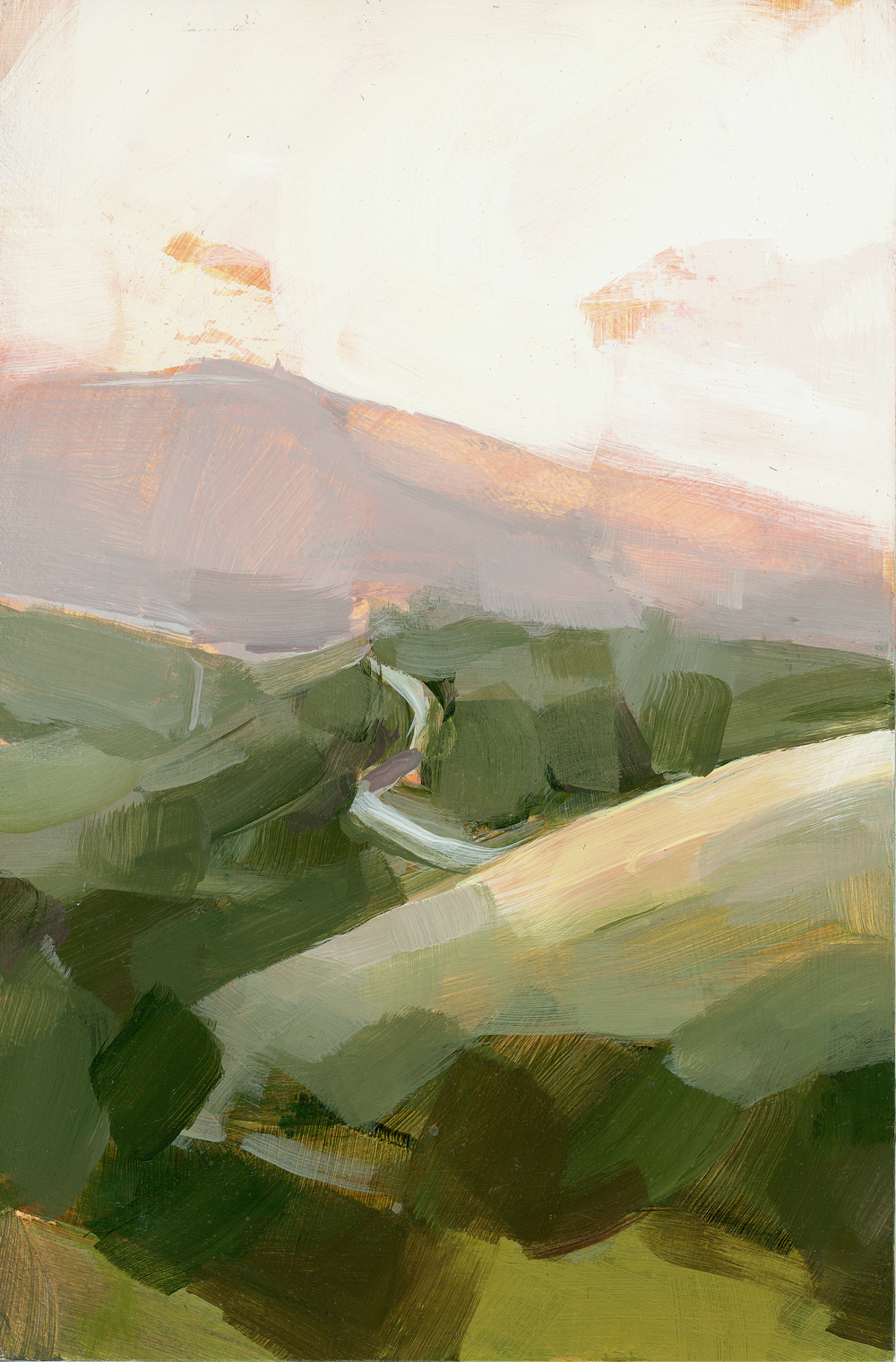 A few green rolling hills leading up to a dusky sky.