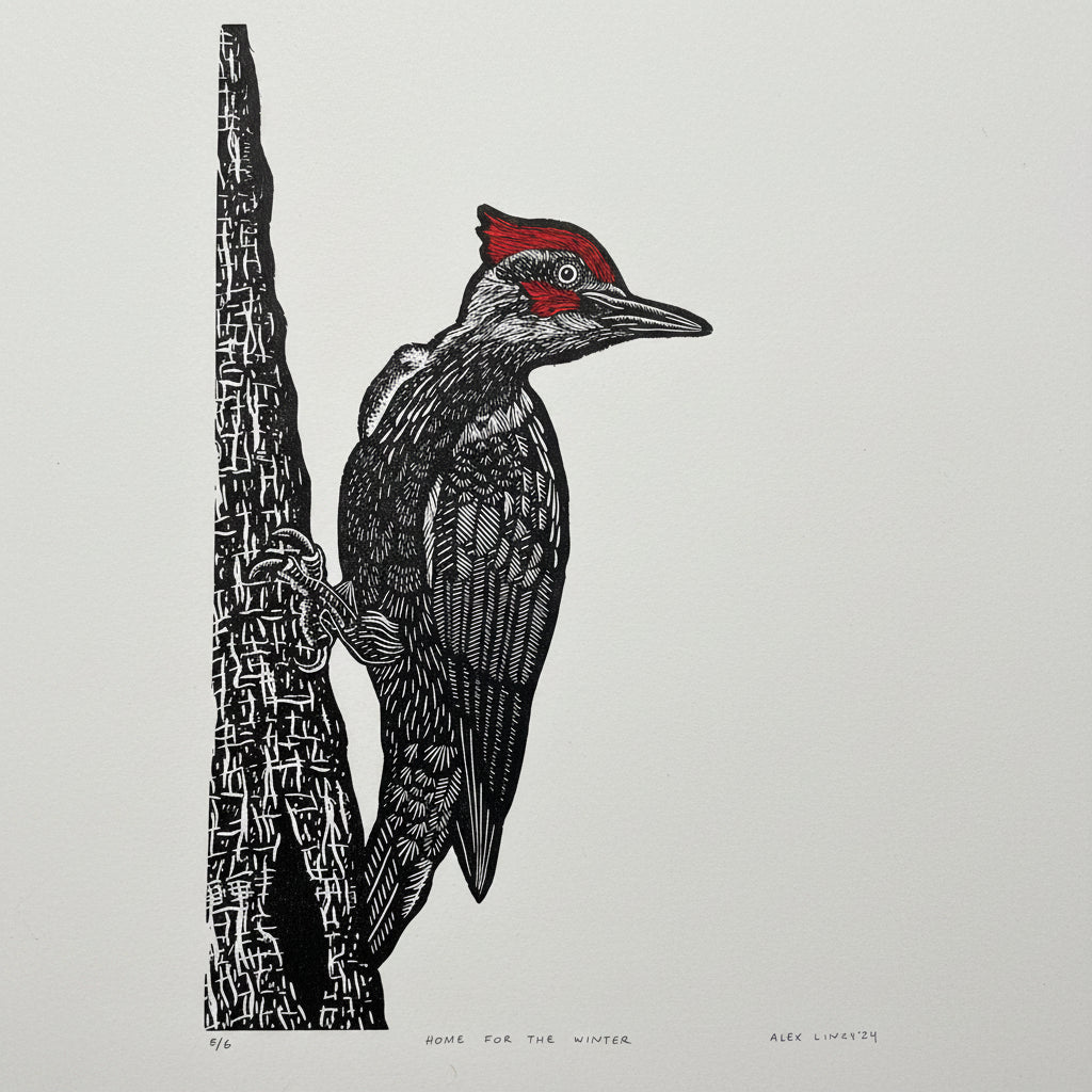 Invite feathered friends into your home with this charming linocut print celebrating winter's most delightful visitors. Hand-carved details capture the cozy warmth of a bird finding shelter during the cold season, making it the perfect addition to nature-loving spaces. Whether you're a birding enthusiast or simply drawn to whimsical woodland art, this print brings rustic character and seasonal cheer to any room. Frame it solo or pair with other nature-inspired pieces for a gallery wall that celebrates the b