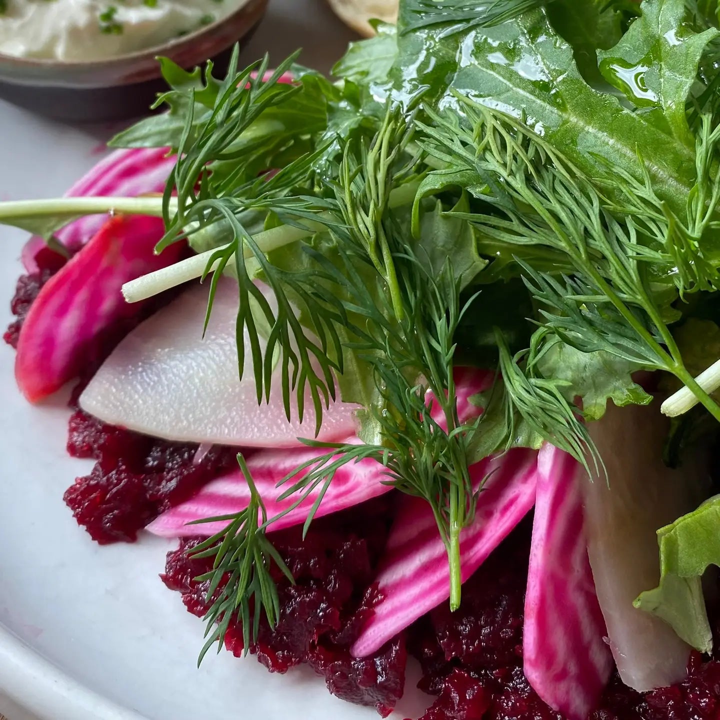 Seed Packet - Organic Chioggia Guardsmark Beets