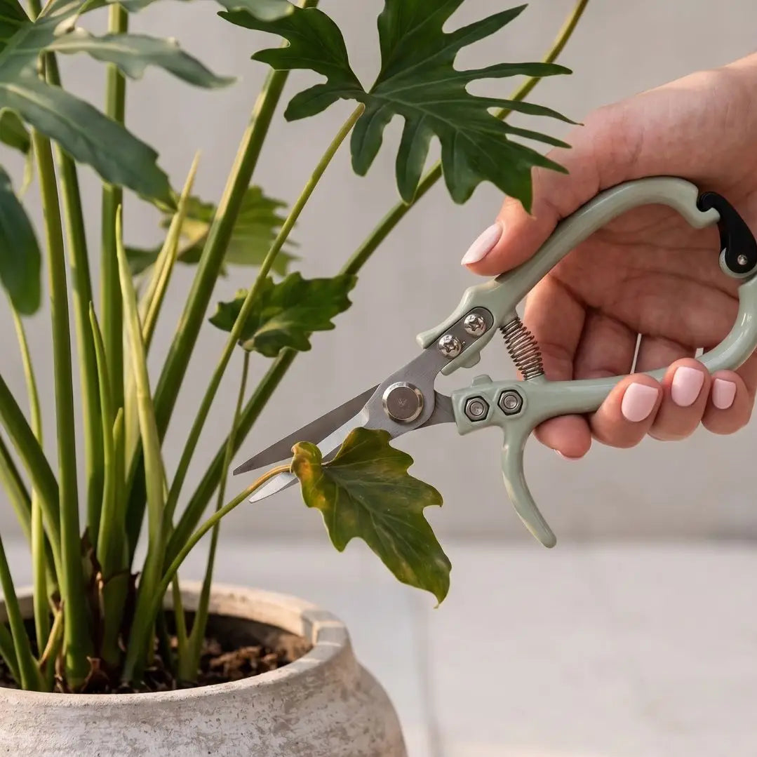 Pruning Shears - Sage Green