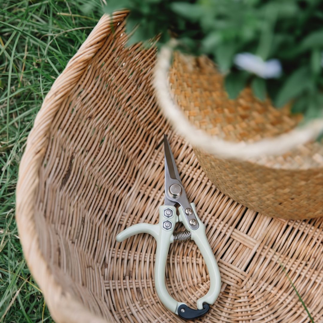 Pruning Shears - Sage Green