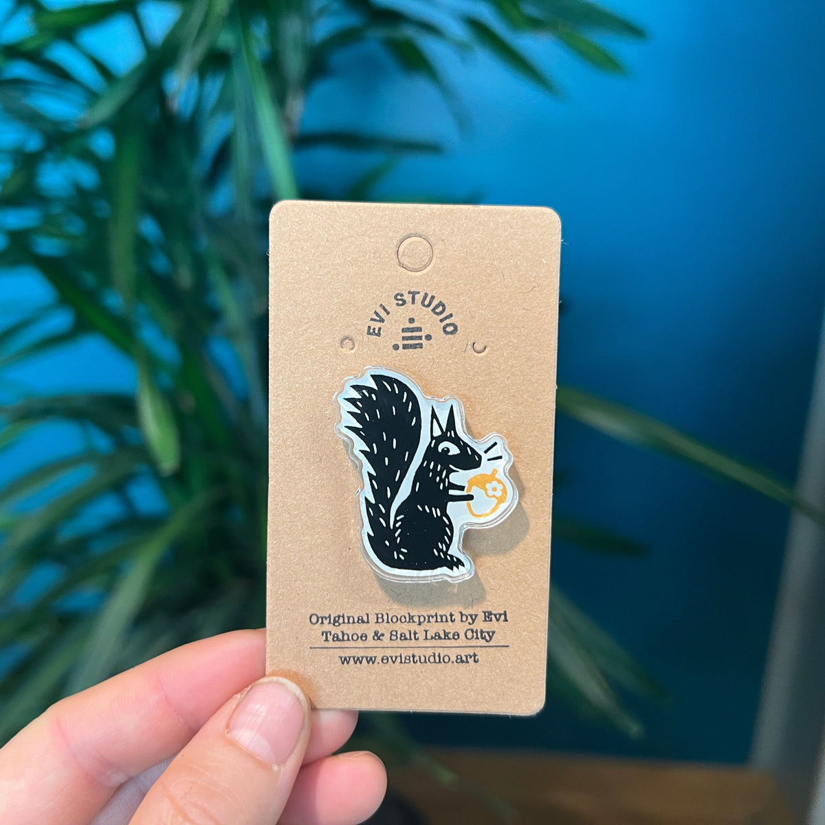 Cute black squirrel holds an acorn in this acrylic pin. held in woman's hand.