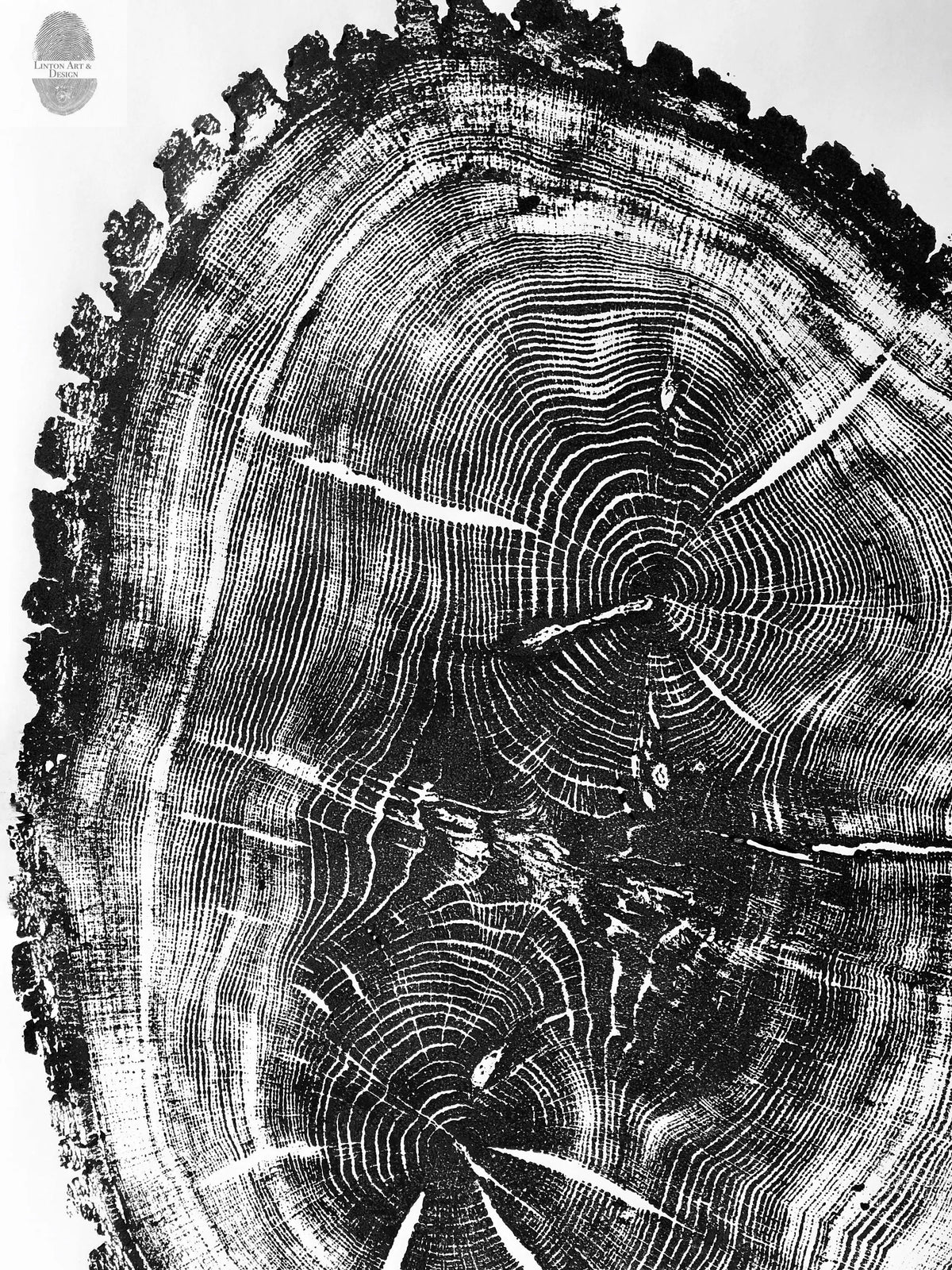 Nauvoo, Illinois Oak - 24x36 Print