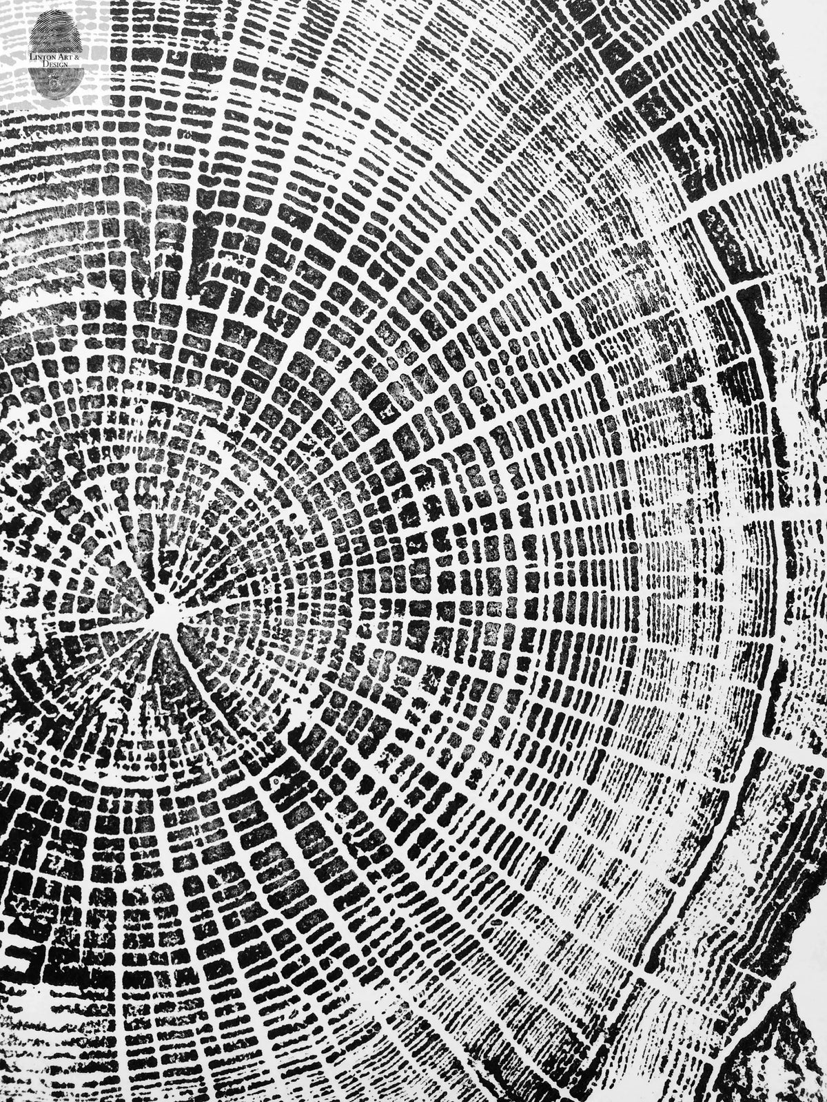 Oregon Coast, Cannon Beach, Driftwood Wall Art, Tree Ring Print, Cascade Mountains, Woodcut Art