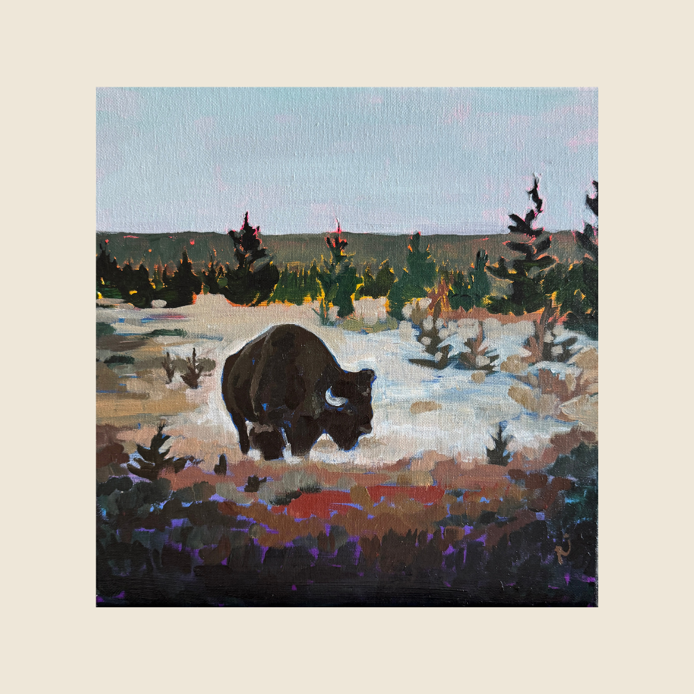 Yellowstone Bison - Original Art - Between Here & There