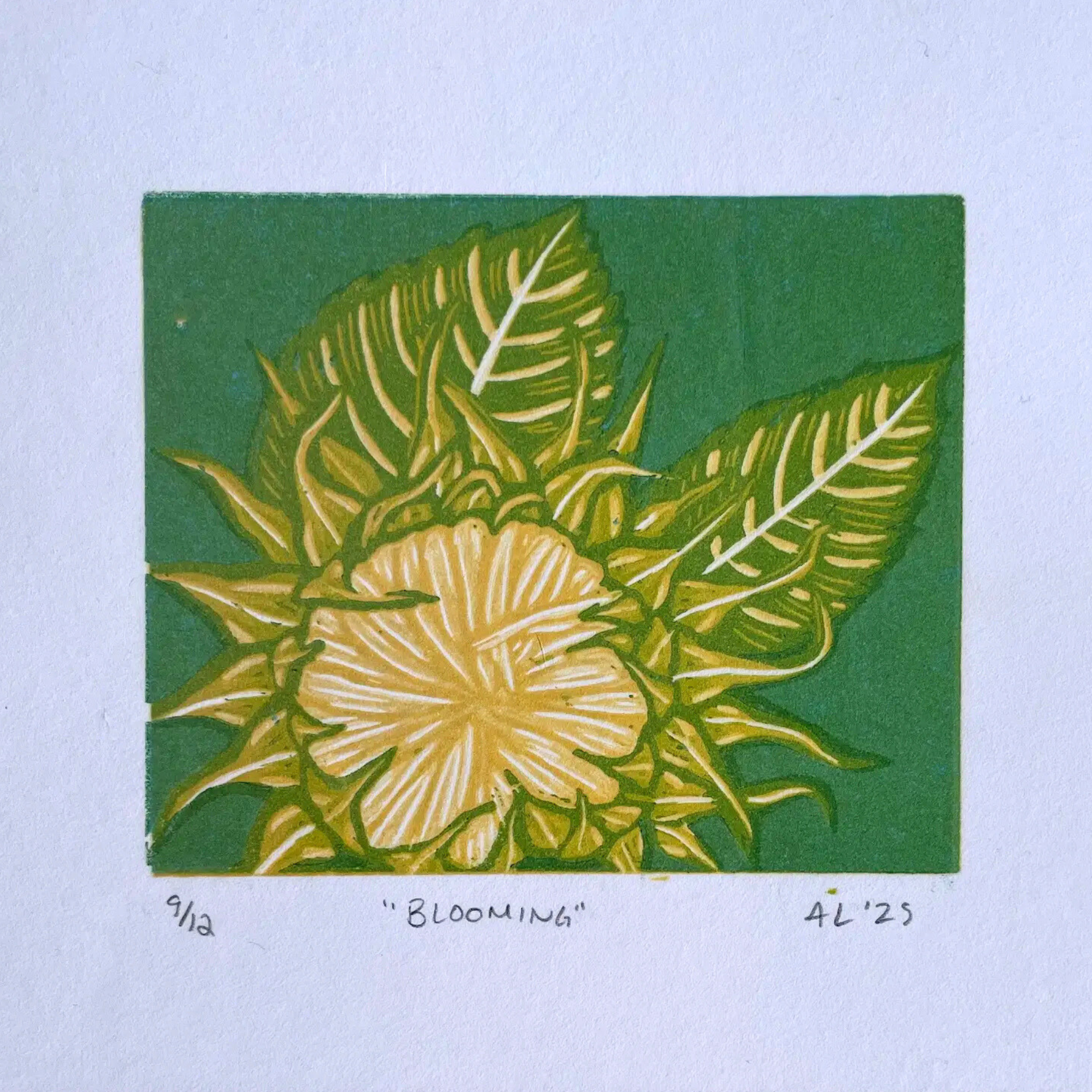 A vibrant linocut print in yellow and green features a large, radiant hibiscus-like flower in full bloom with layered petals and delicate veining, surrounded by broad, pointed tropical leaves with prominent white veins against a solid green background. The artwork is printed on white paper with the edition number "9/12," the title ""BLOOMING"", and the signature "AL '25" handwritten below, framed by a bright pink border.