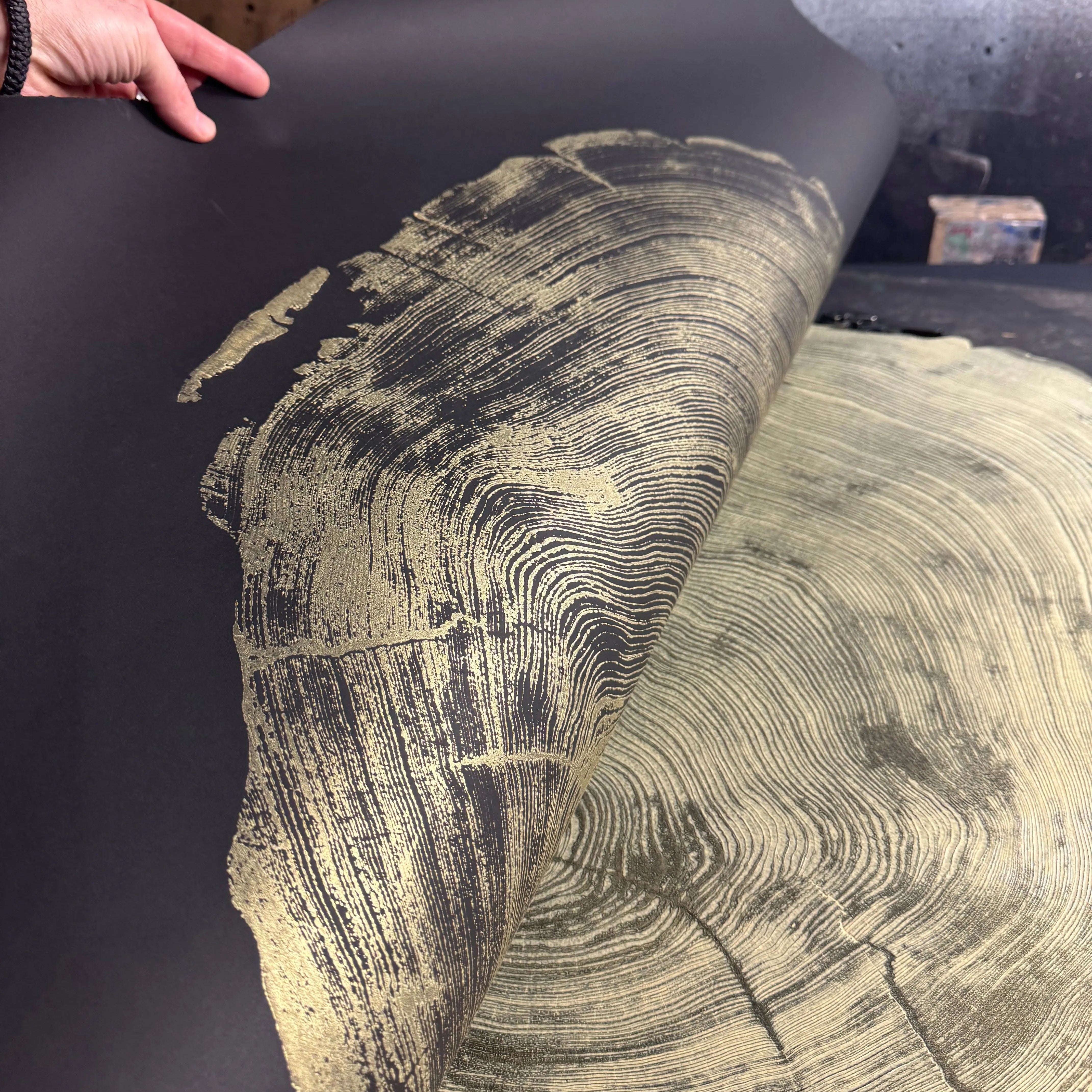San Francisco Redwood Gold and Black - 36x48 Inches