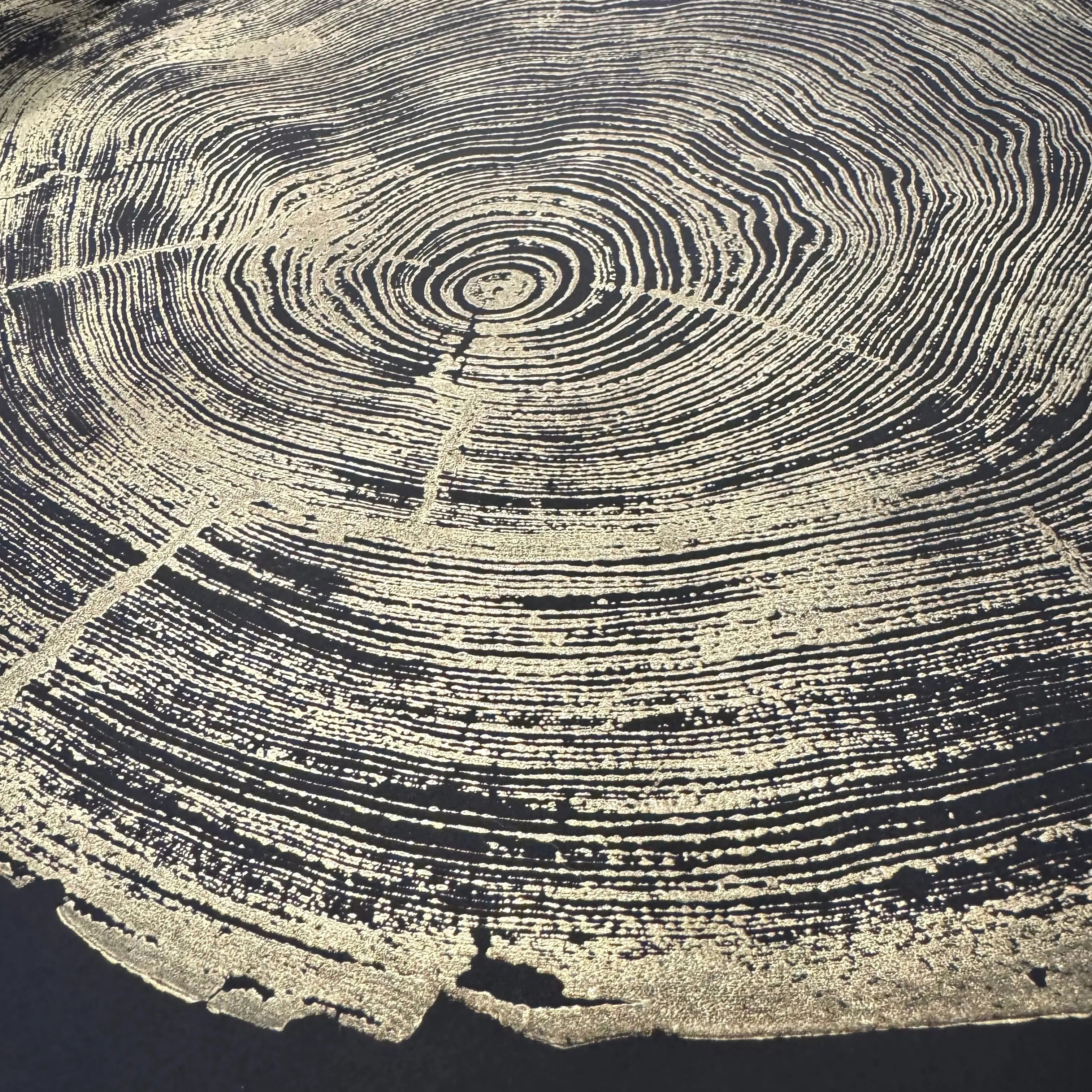 San Francisco Redwood Gold and Black - 36x48 Inches
