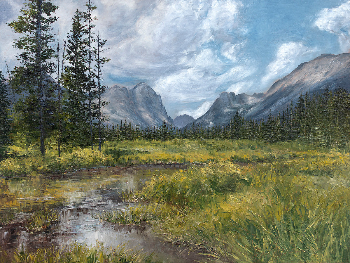 Sawtooth Mountains in the Summer Print