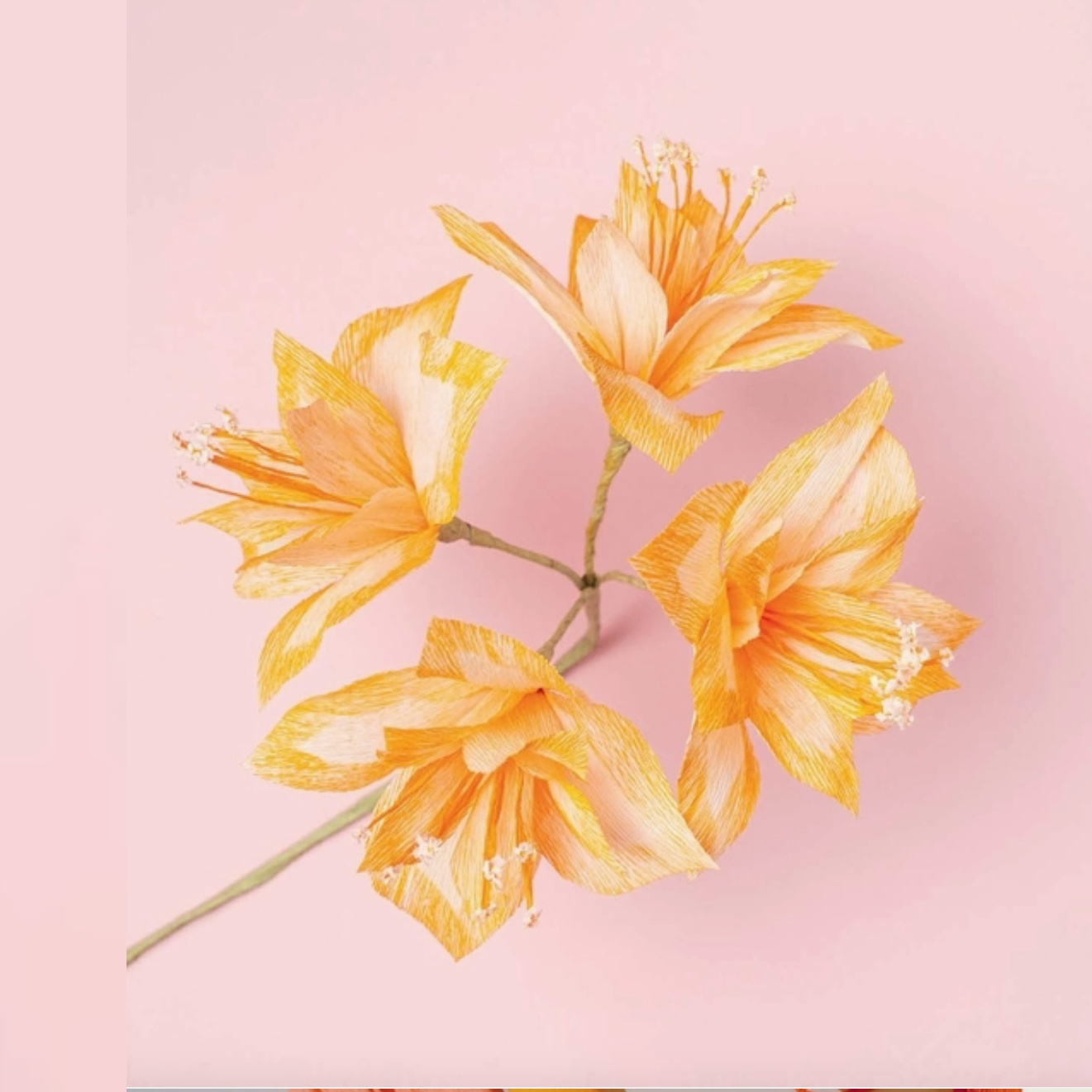 Paper Flowers
