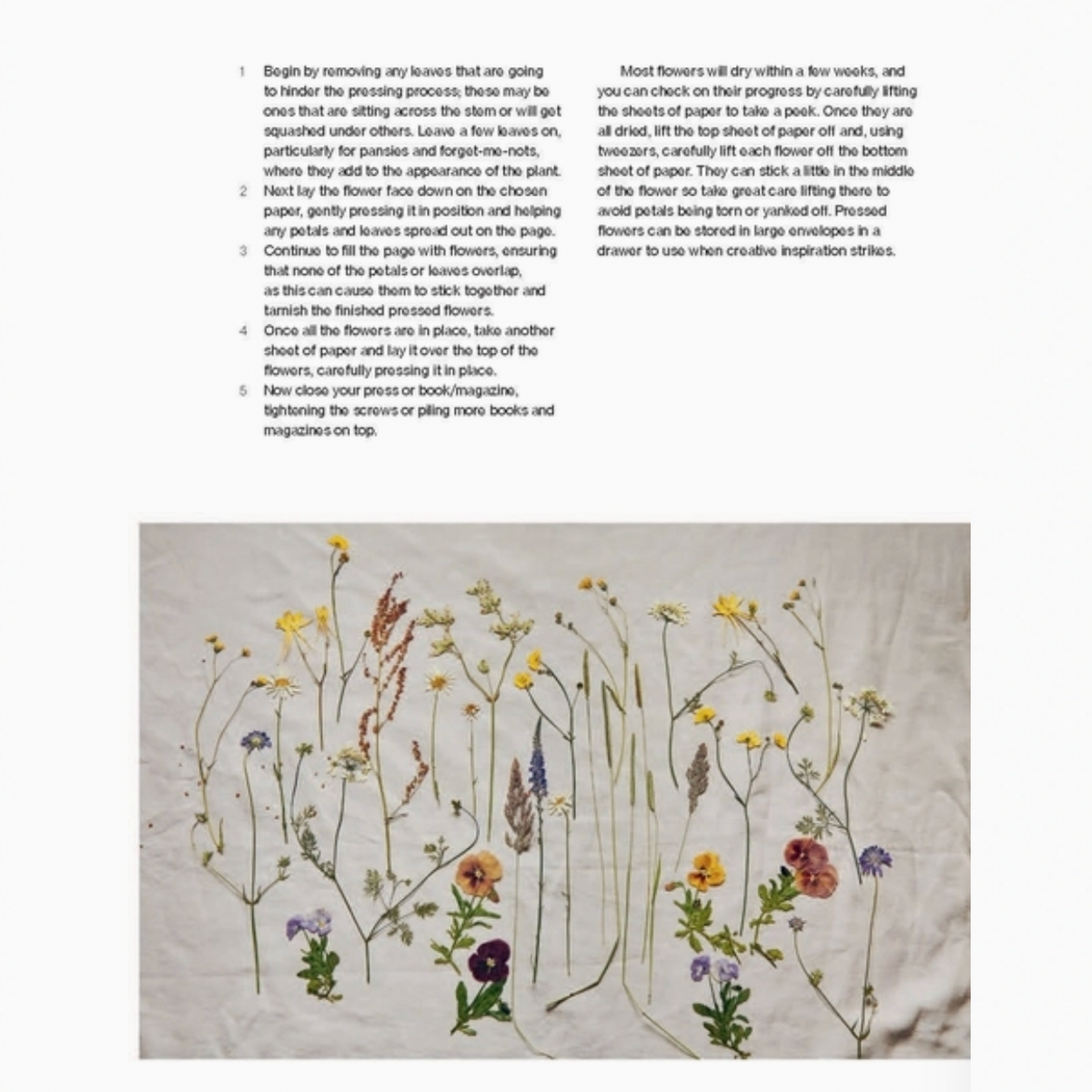 Crafting with Flowers