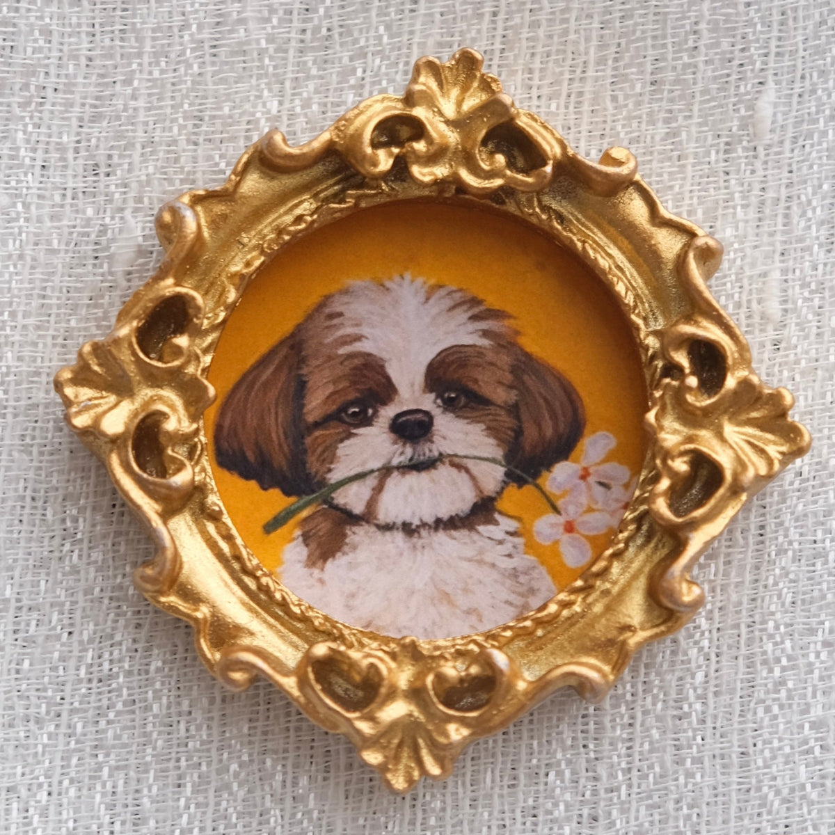 A cute shih tzu with brown spots over his eyes and ears is holding a daisy in his mouth as if to bring you a flower. Set atop a yellow background inside a gold resin frame.