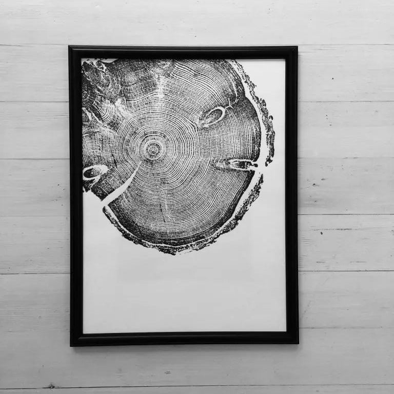 Wasatch Mountains, Utah Pine - 18x24 Print