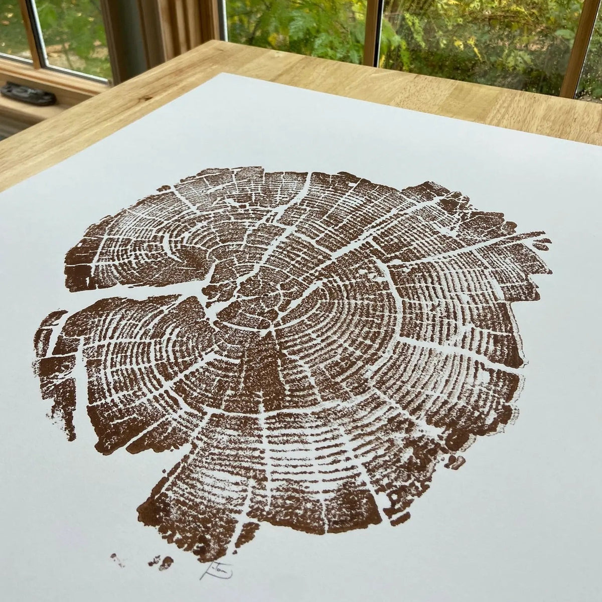 Yellowstone Tree Ring Print in Brown Ink 11x14 inches - Hand Pressed Woodblock