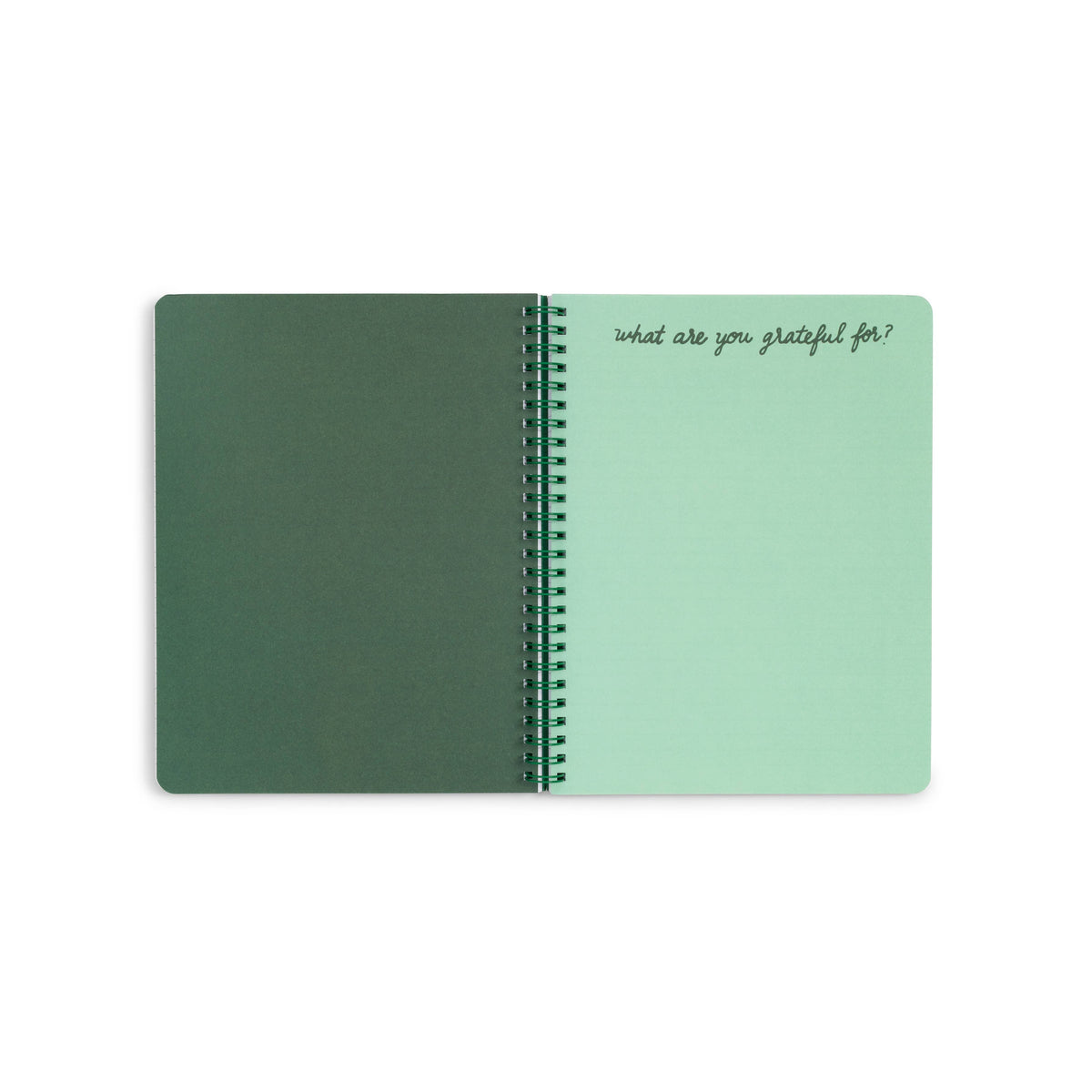 Rough Draft Large Notebook - Making it Up As I Go