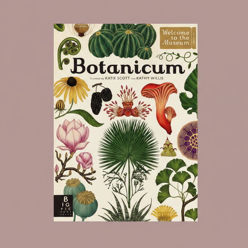Discover more than 160 exhibits in this virtual museum, open all hours.
The 2017 offering from Big Picture Press's Welcome to the Museum series, Botanicum, is a brilliantly curated guide to plant life. With artwork from Katie Scott of Animalium fame, Botanicum gives readers the experience of a fascinating exhibition from the pages of a beautiful book.
From perennials to bulbs to tropical exotica, Botanicum is a wonderful feast of botanical knowledge complete with superb cross sections of how plants work.