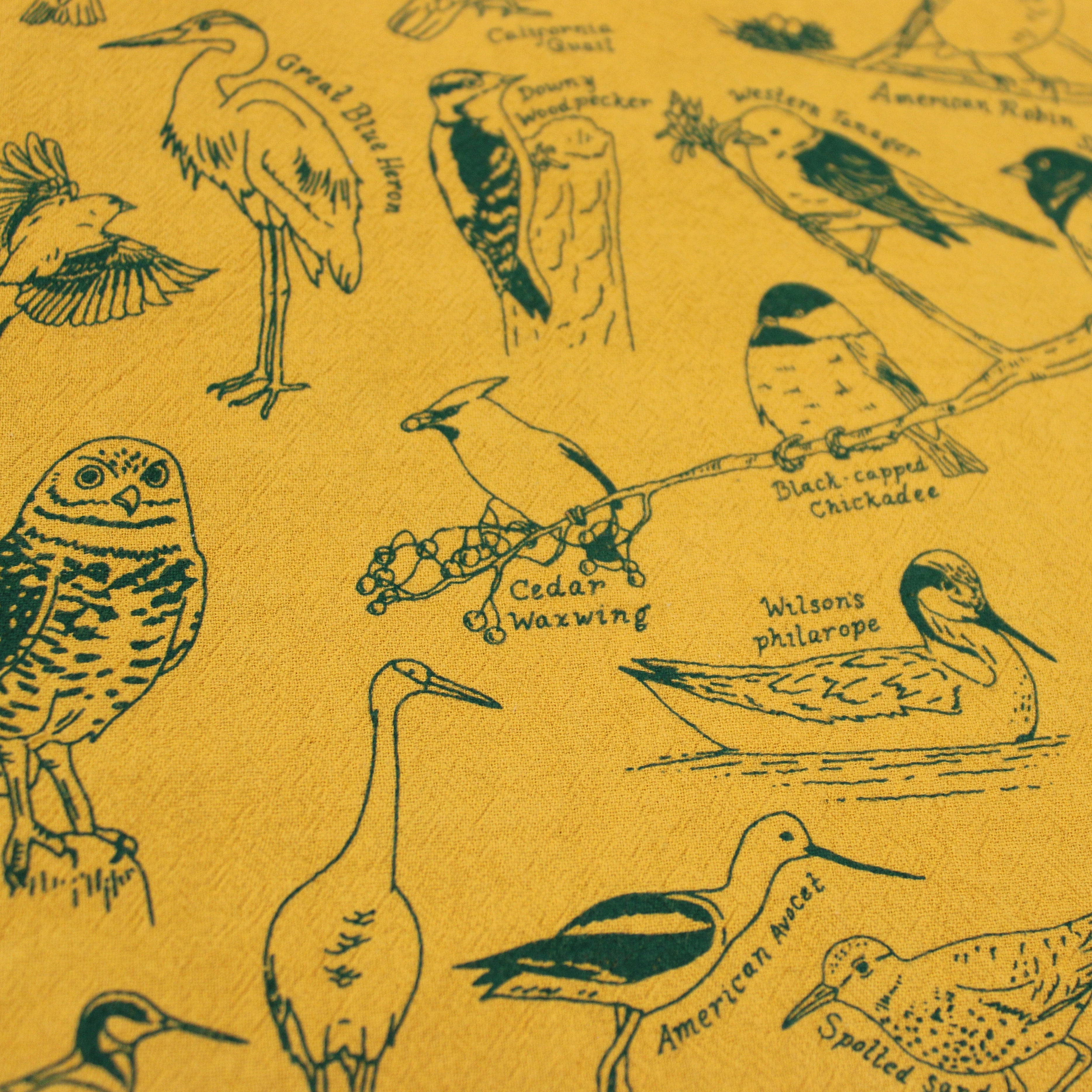 Illustrations of various birds on a yellow background