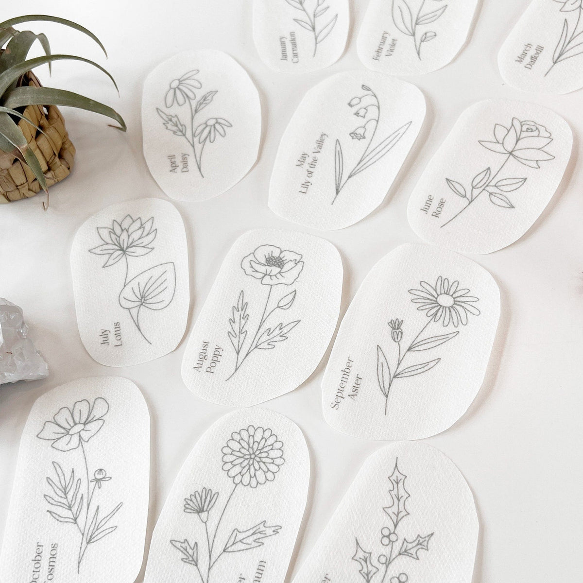 Birth Flower Embroidery Stick and Stitch