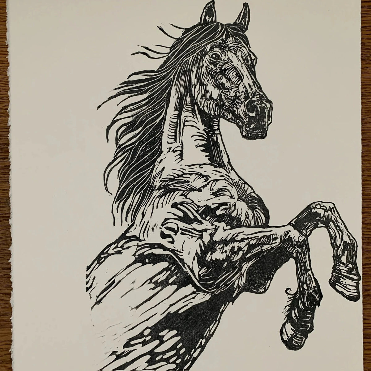 rearing stallion in classic black and white, done on rough paper signed by kelsi with date and time. Against a wooden table 