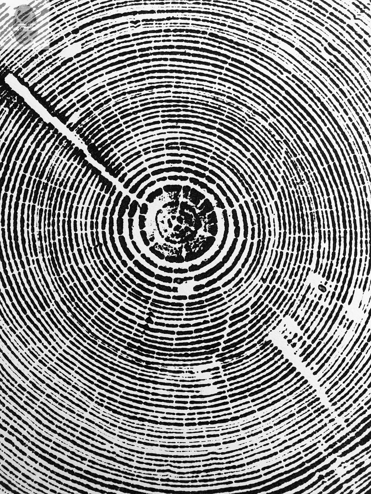 Alabama Tree Ring Print, Alabama Art Print