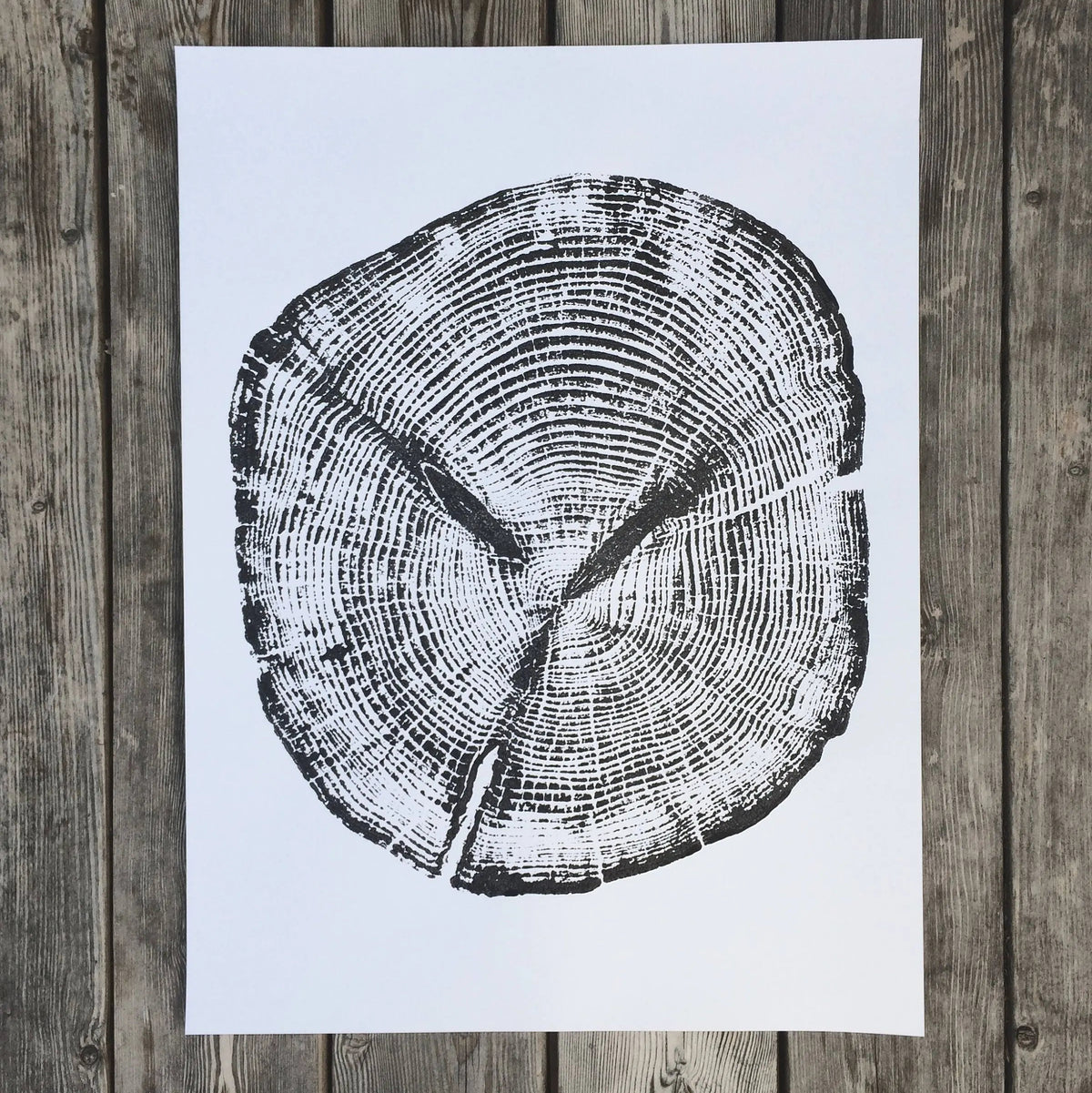 Alaska Cedar Art Tree Ring Print