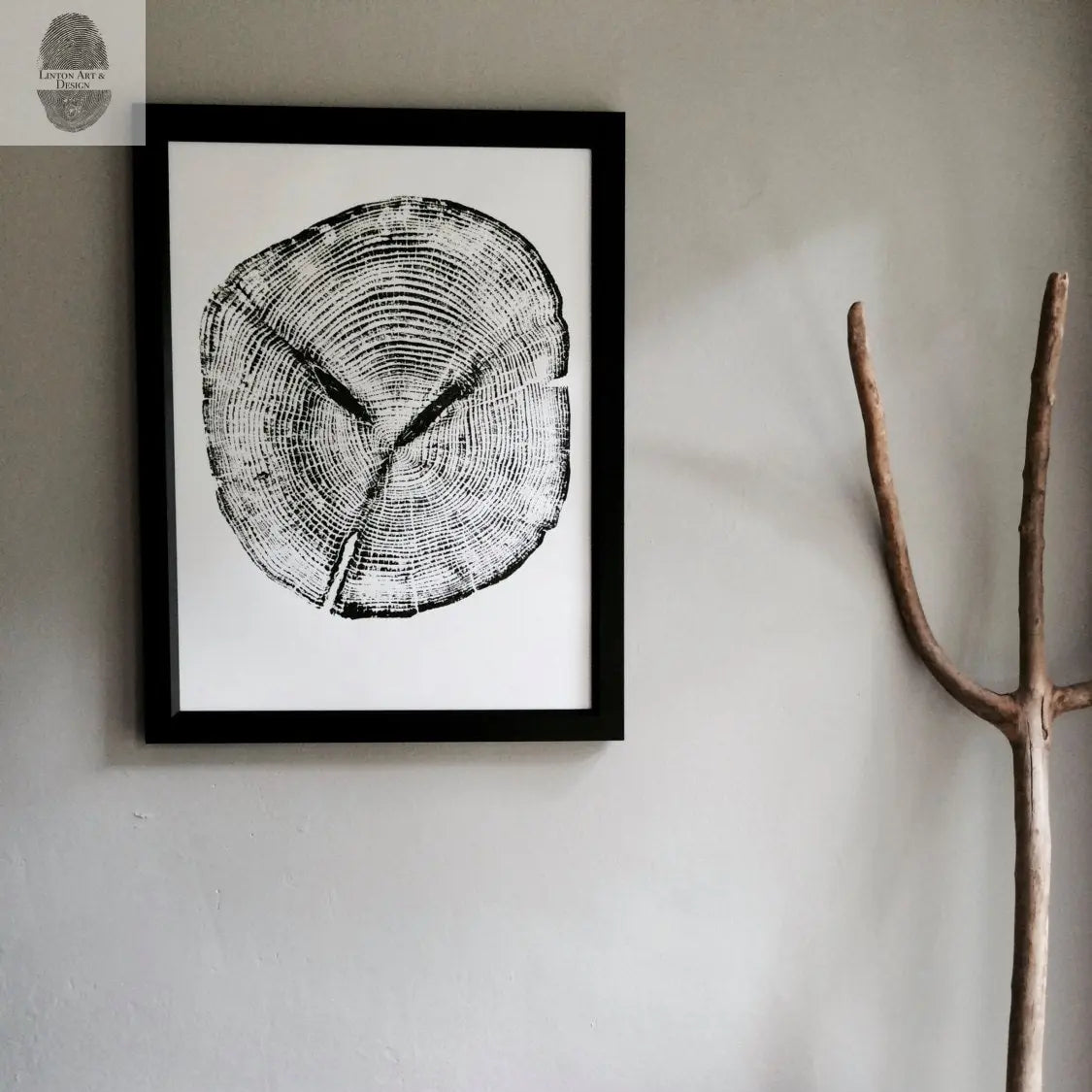 Alaska Cedar Art Tree Ring Print