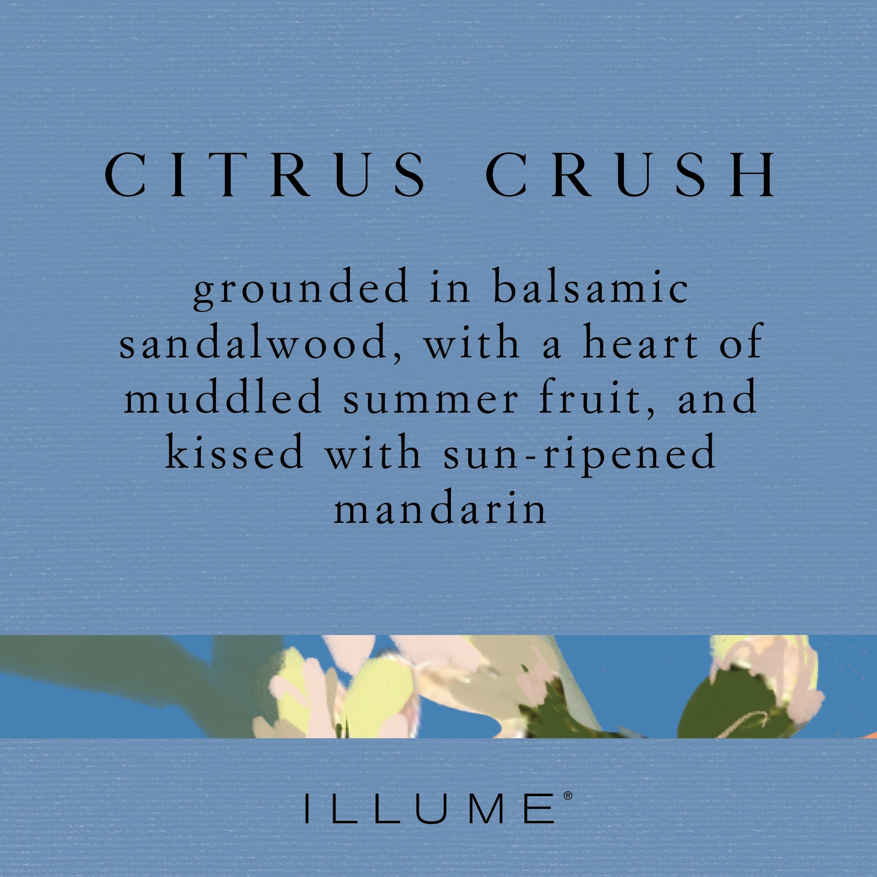Perfume Spray Fragrance

Grounded in balsamic sandalwood, with a heart of muddled summer fruit, and kissed with sun-ripened mandarin