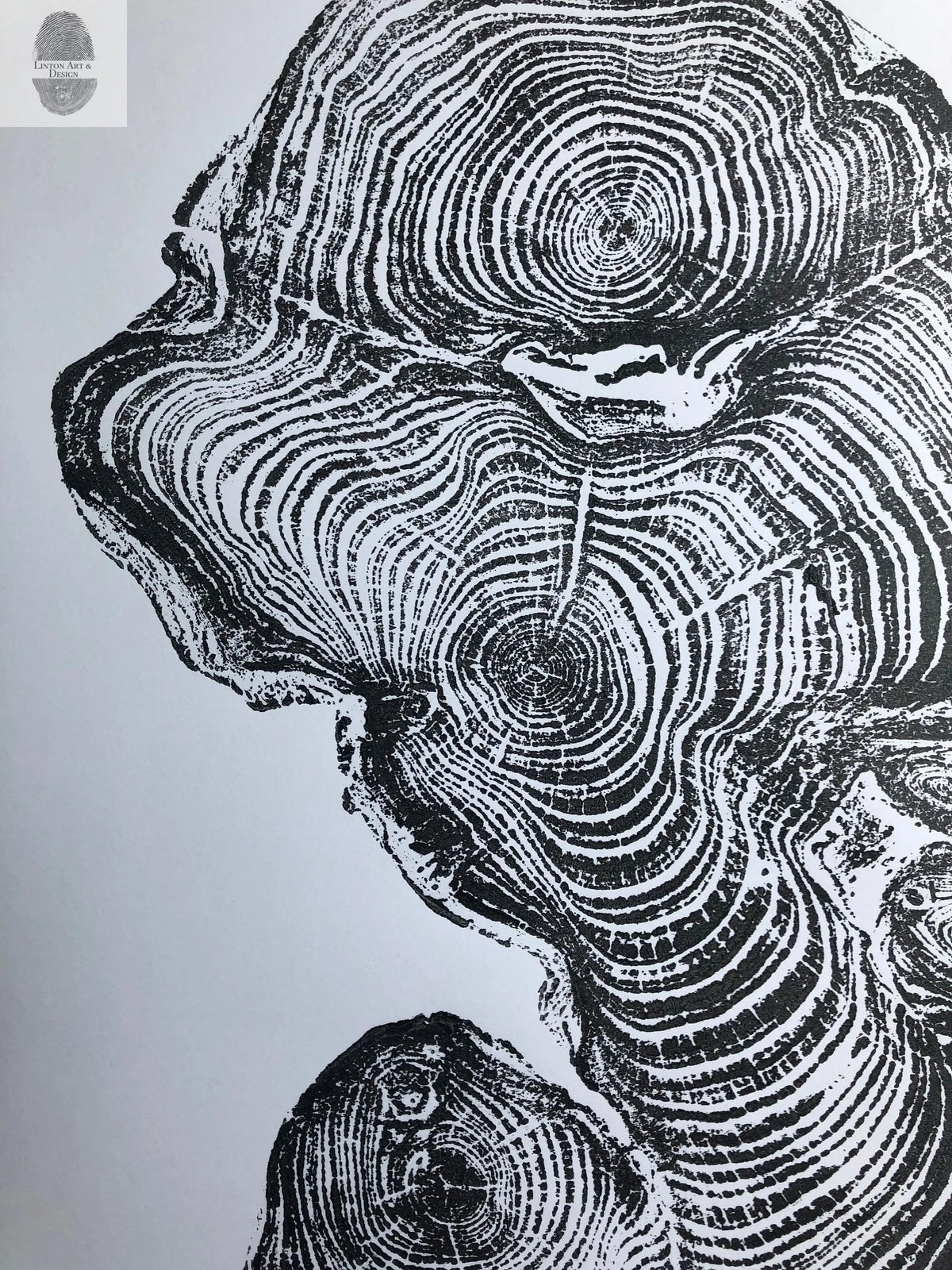 Cypress from Ireland, Tree ring art print, Tree stump print, first anniversary gift, 18x24 inch woodcut, fifth anniversary gift, Linton Art