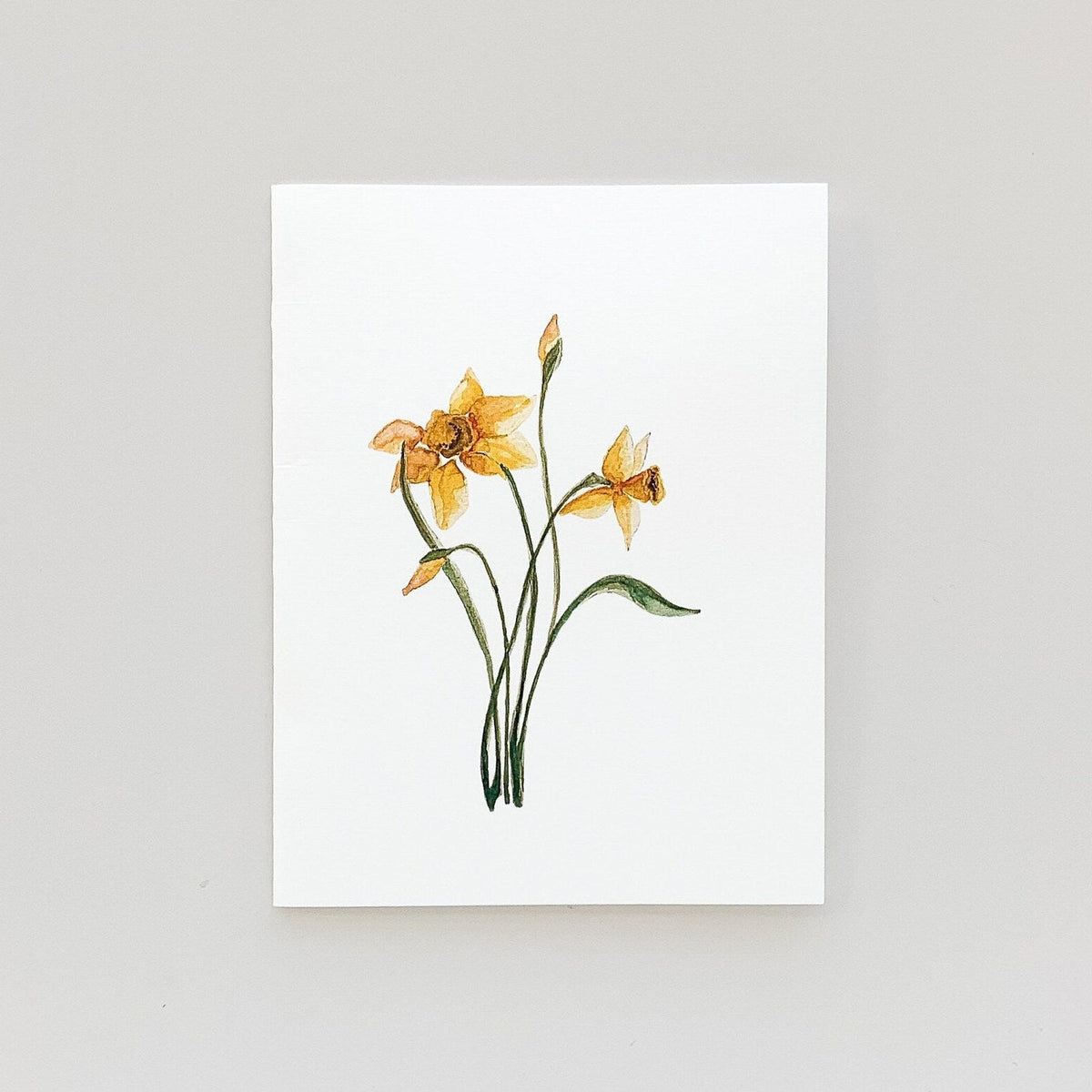 Two watercolored daffodils on a white background. 