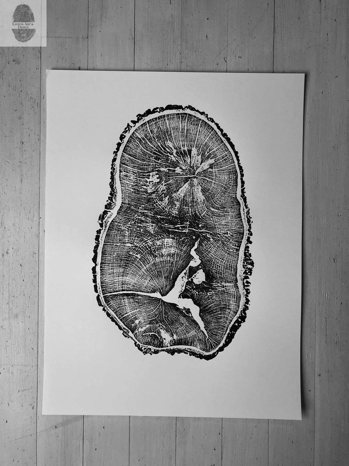 English Oak, Tree ring art print, Oak from Liverpool UK, Anniversary art, Tree ring art, Tree rings, Original Woodcut print by Erik Linton