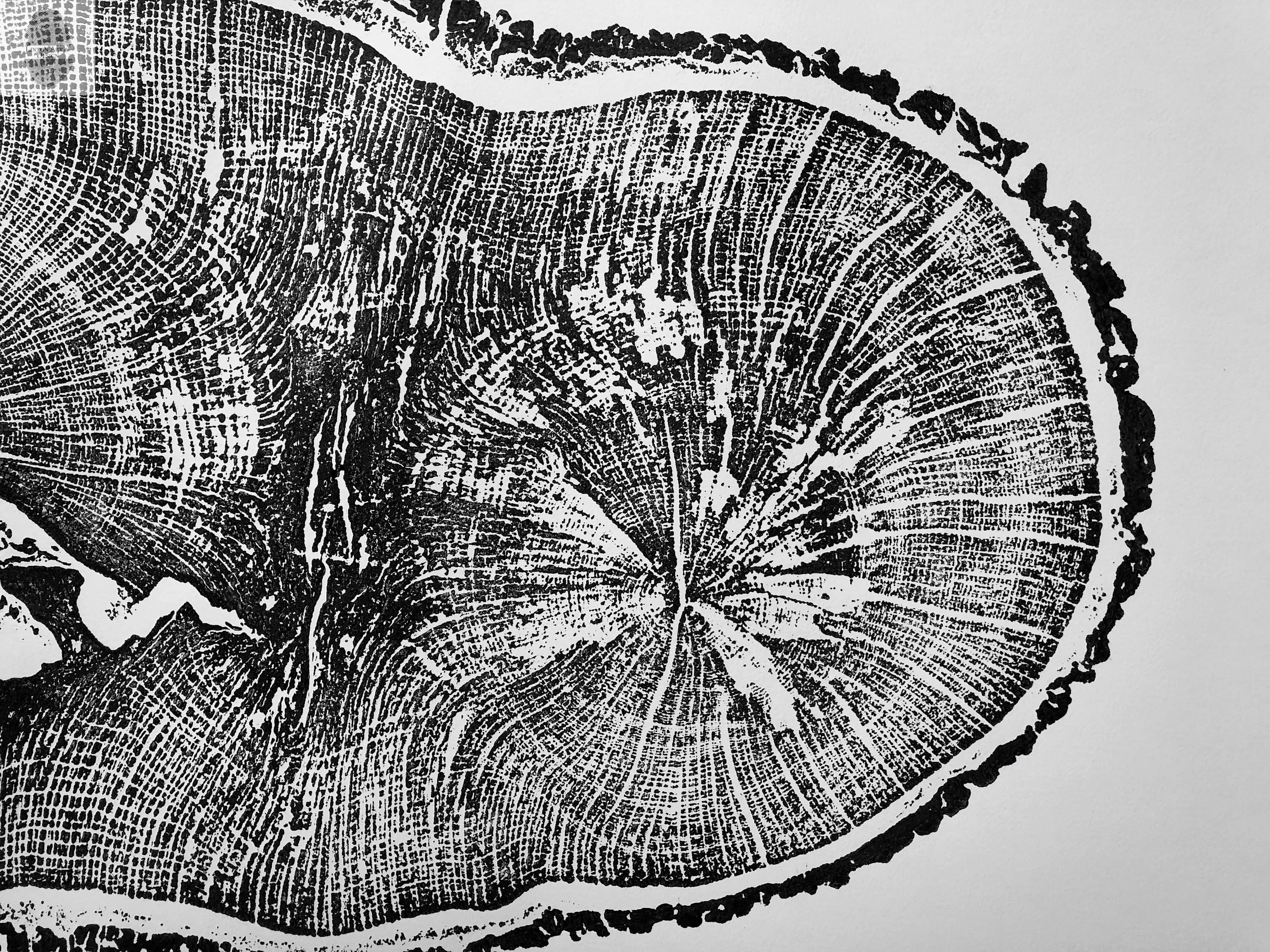 English Oak, Tree ring art print, Oak from Liverpool UK, Anniversary art, Tree ring art, Tree rings, Original Woodcut print by Erik Linton