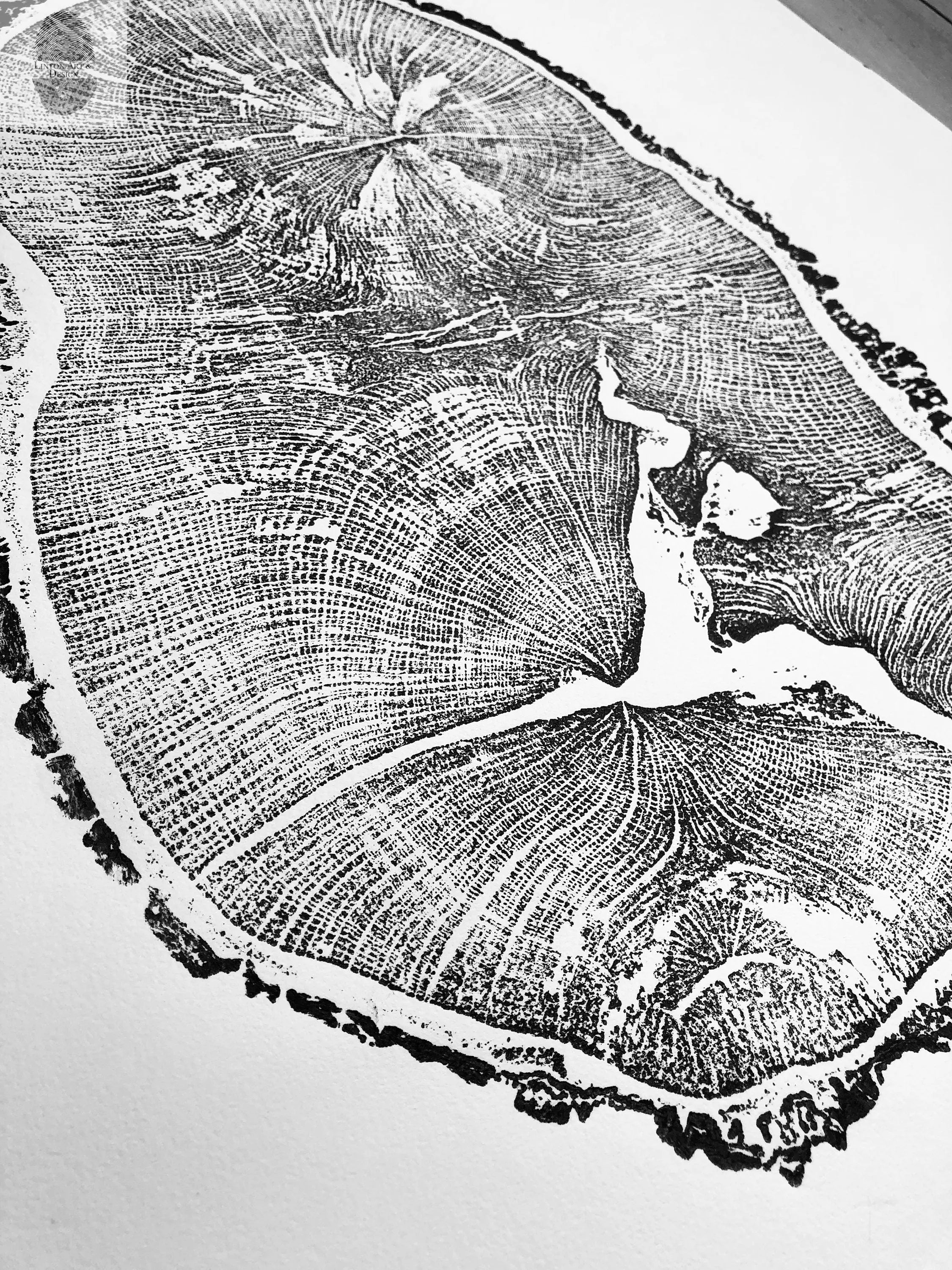 English Oak, Tree ring art print, Oak from Liverpool UK, Anniversary art, Tree ring art, Tree rings, Original Woodcut print by Erik Linton