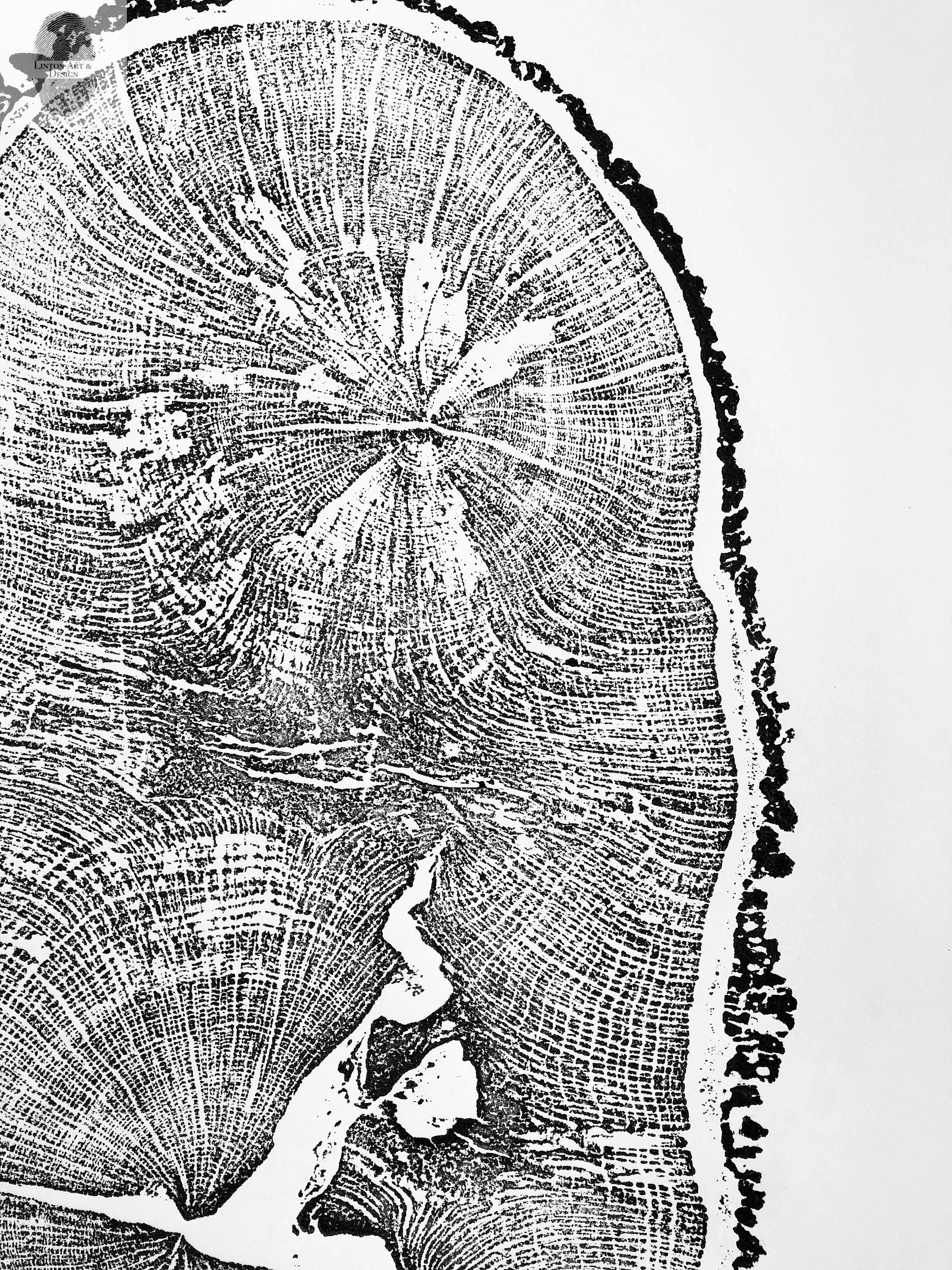 English Oak, Tree ring art print, Oak from Liverpool UK, Anniversary art, Tree ring art, Tree rings, Original Woodcut print by Erik Linton
