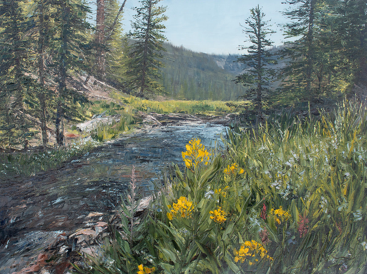 High Uinta Meadows Print