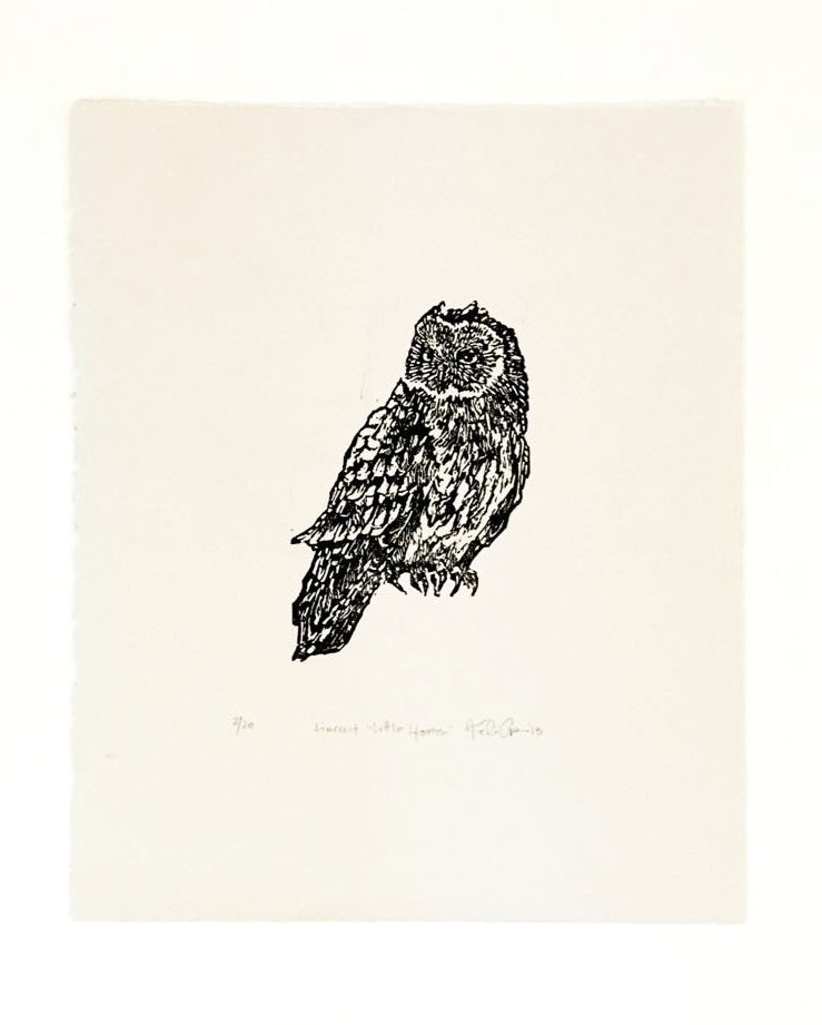 Little Hooter Print