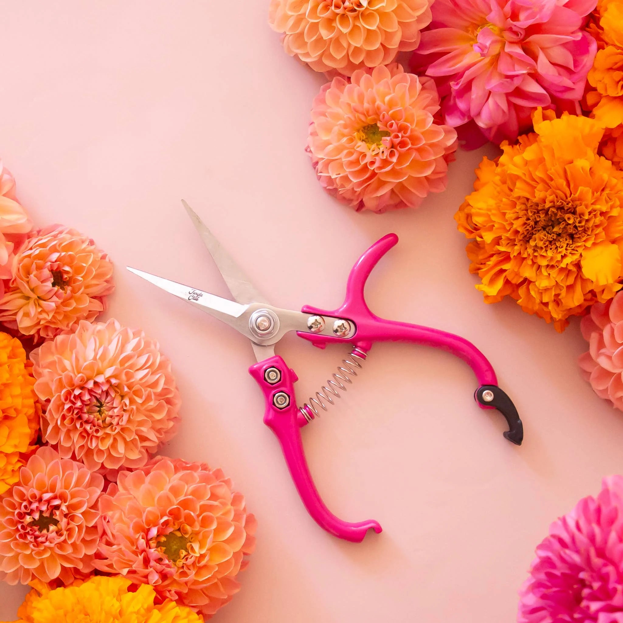 The best way to prune your plants is in style, of course. With an ergonomic handle and a support pillar for extra control, these garden snips are perfect for light pruning, snipping and deadheading. Created by Jungle Club these pruning shears are not only adorable, but also a planting tool you can't live without.

Details:

Dimensions | 6.5” x 3”
Shear Length | 2.4”
Cutting Capacity | 6mm
Materials | High Carbon SK-5 Steel, Hard Chrome Plated, Aluminum Handle
Imported