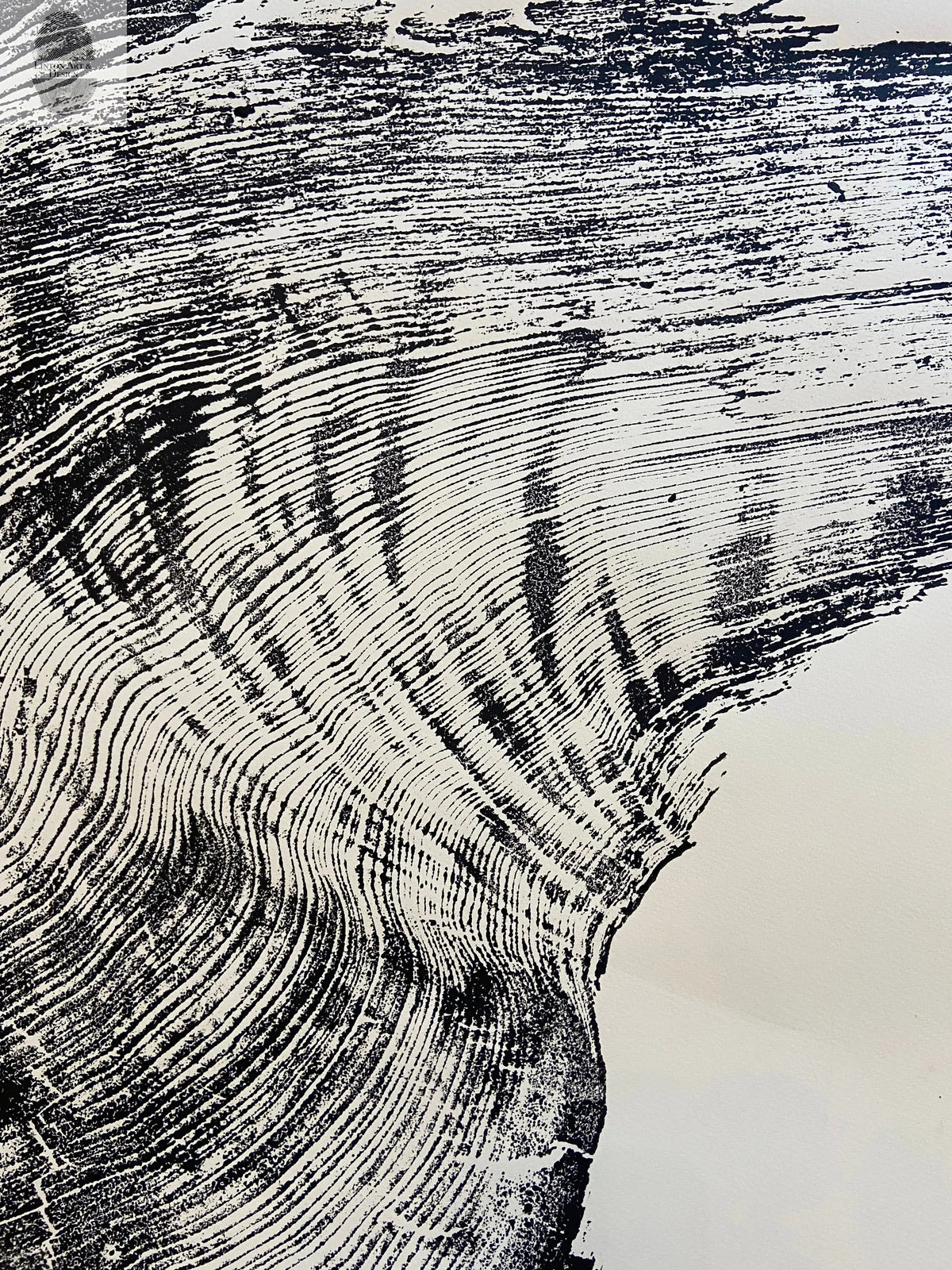 Redwood Tree, Tree Ring Print, California Coast, Wood Slice Wall Art, Huge Wall Art, Natural Wood Slices 52”x72”