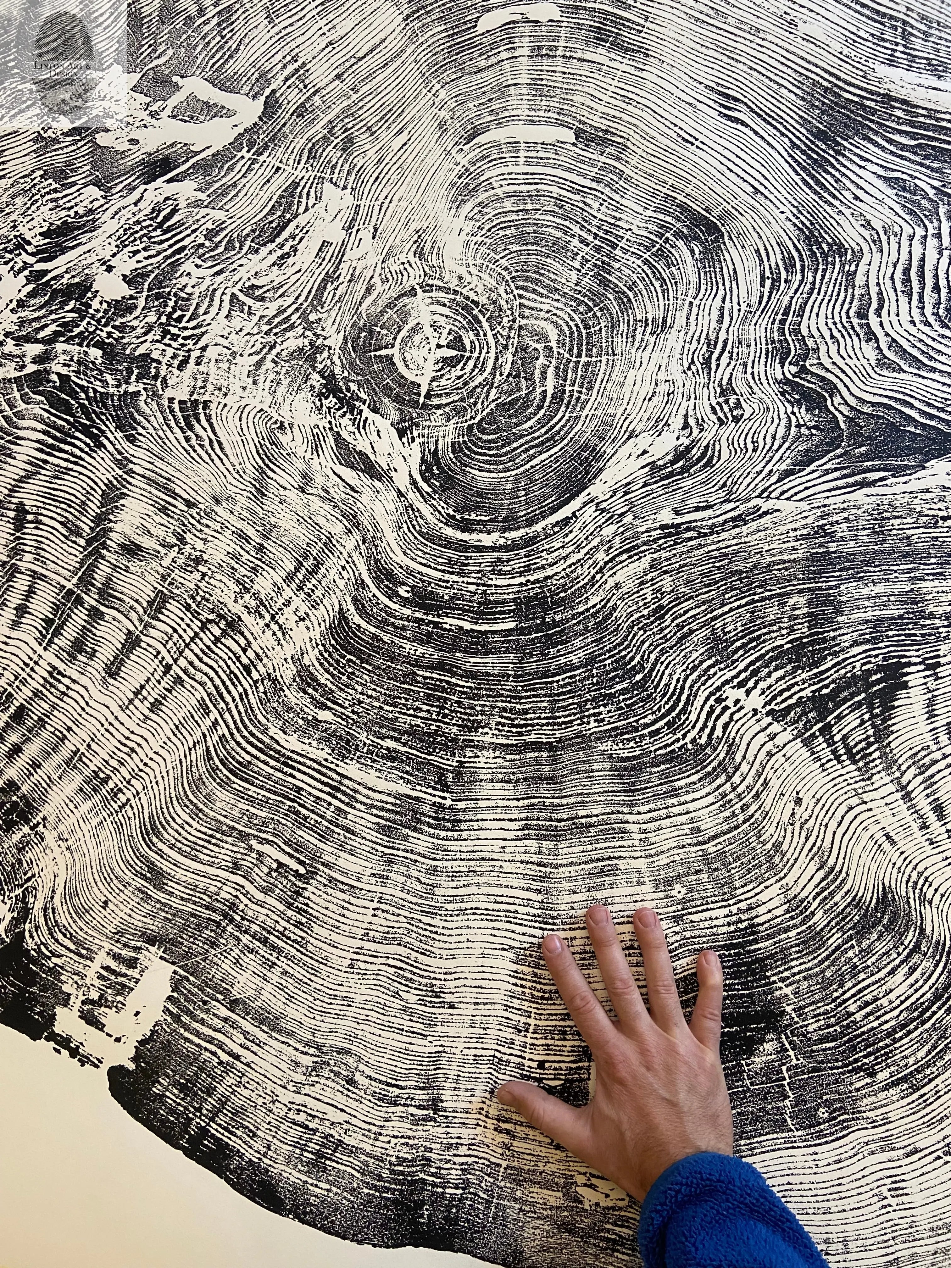 Redwood Tree, Tree Ring Print, California Coast, Wood Slice Wall Art, Huge Wall Art, Natural Wood Slices 52”x72”