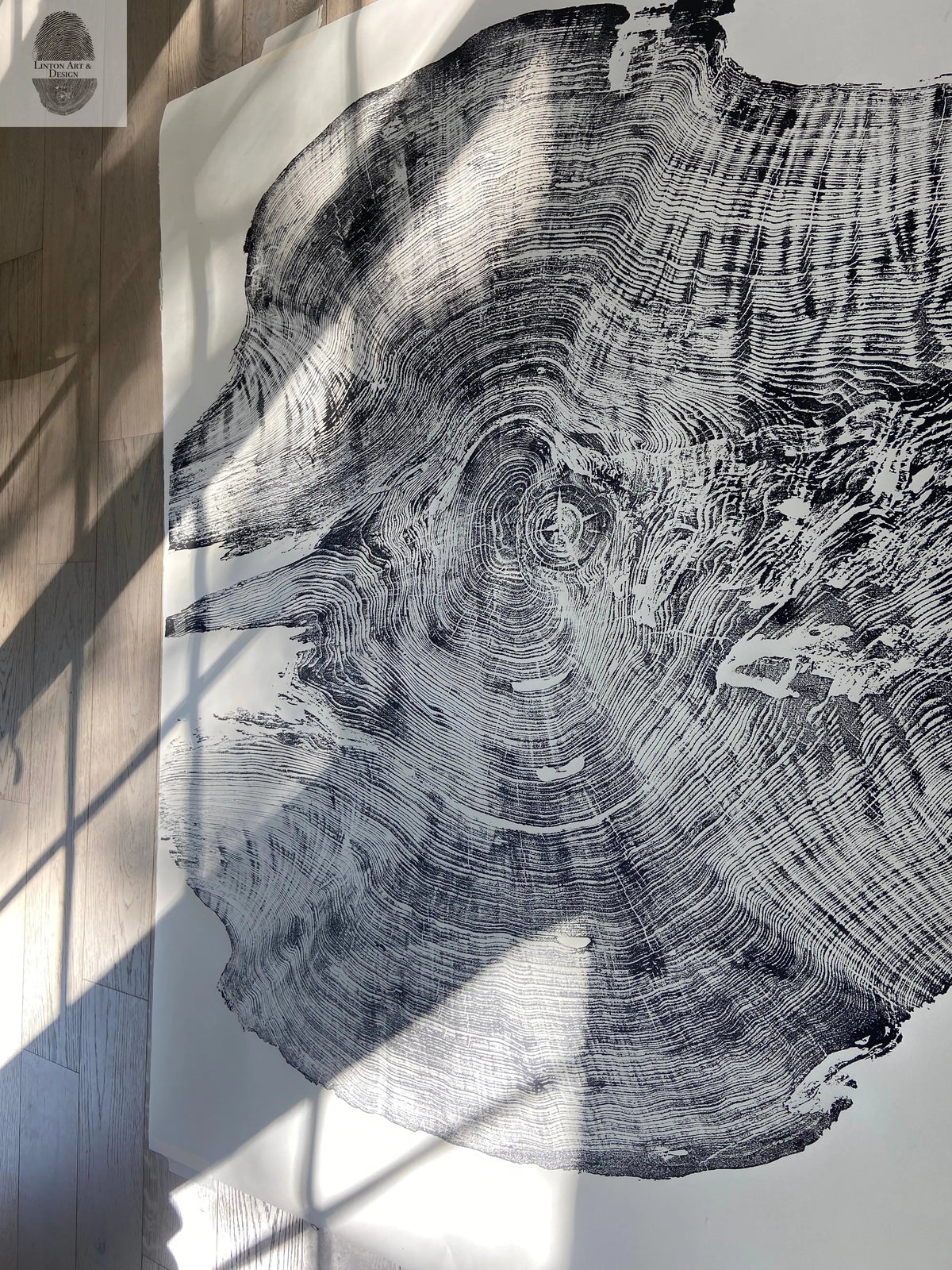 Redwood Tree, Tree Ring Print, California Coast, Wood Slice Wall Art, Huge Wall Art, Natural Wood Slices 52”x72”